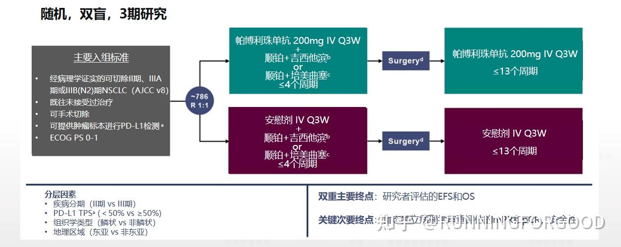 吉西他滨+顺铂图片