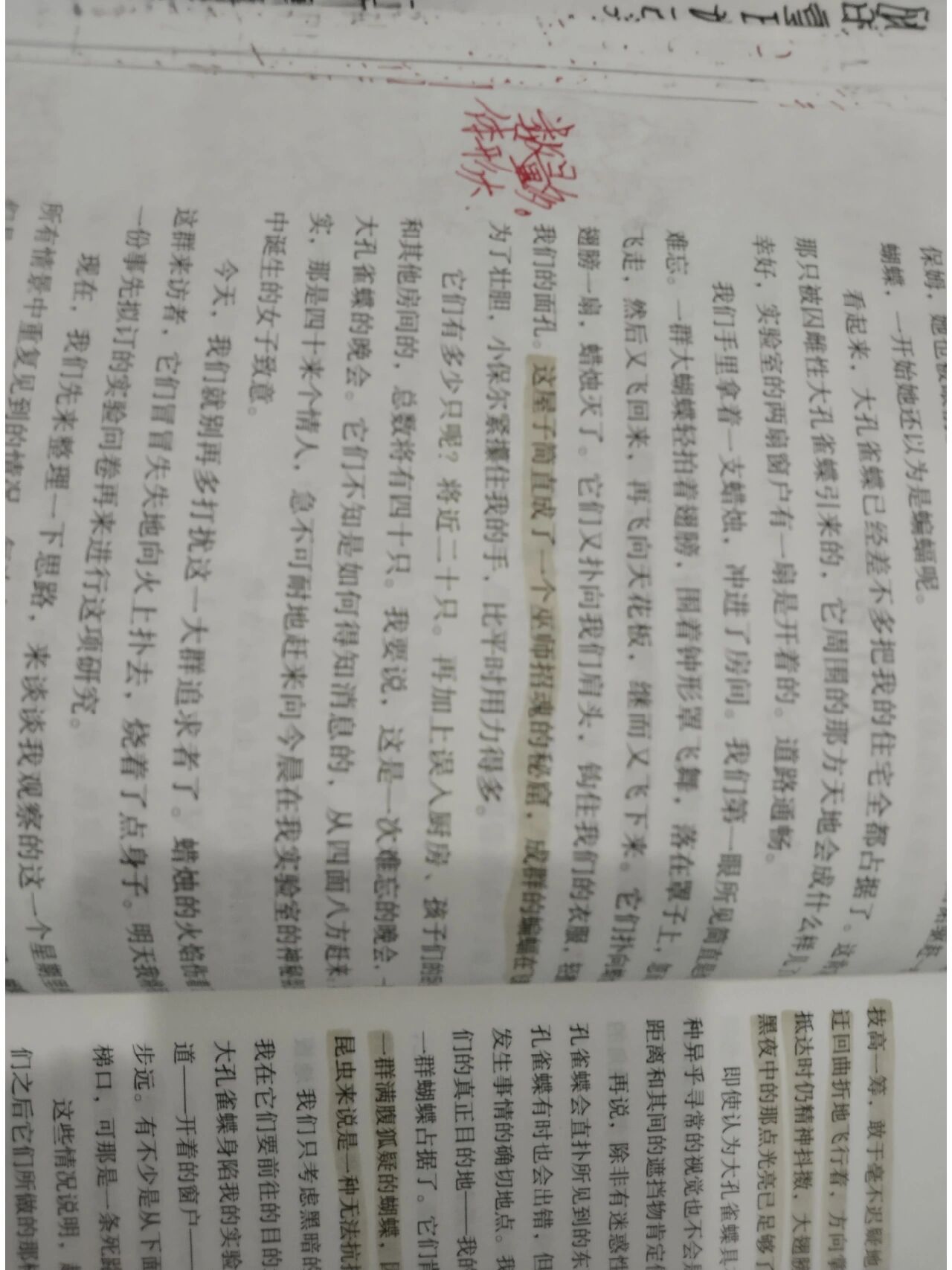 大孔雀蝶批注图片