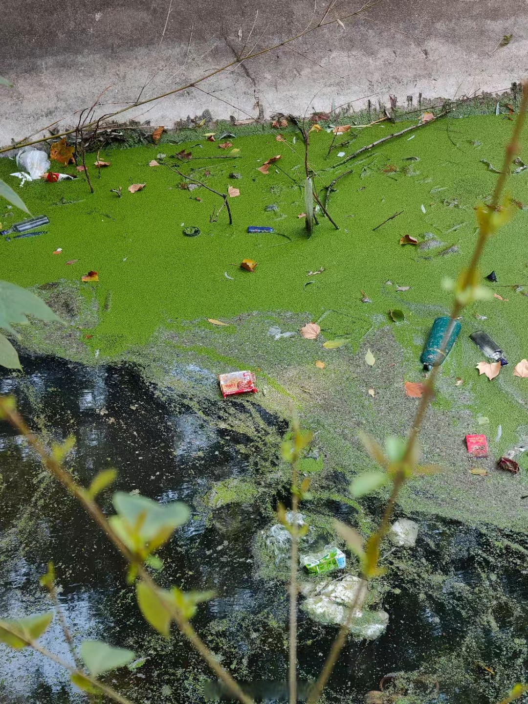 你死了以后,也没几个人记得你