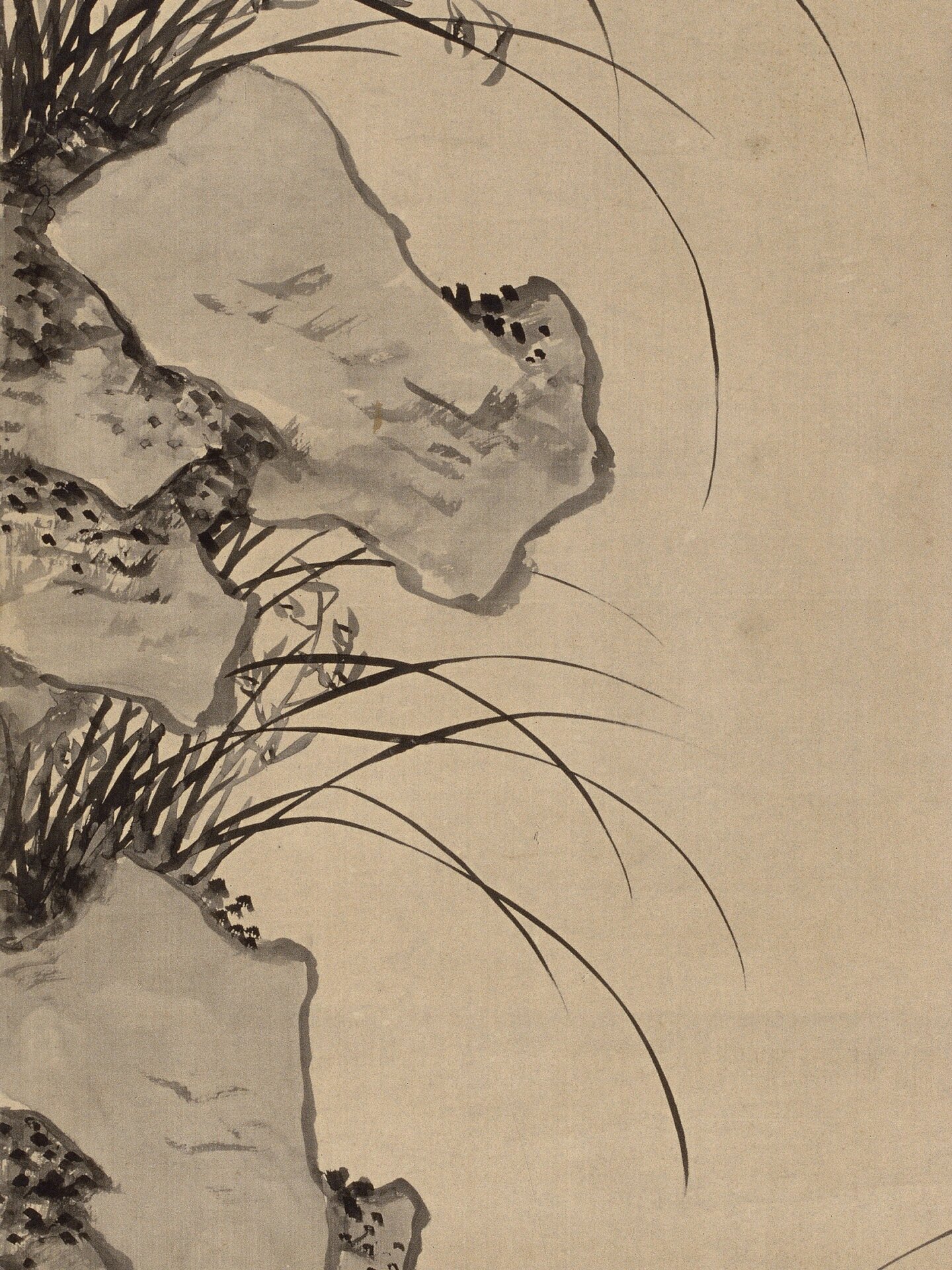 兰花图 | 清 吴昌硕 |纸本水墨