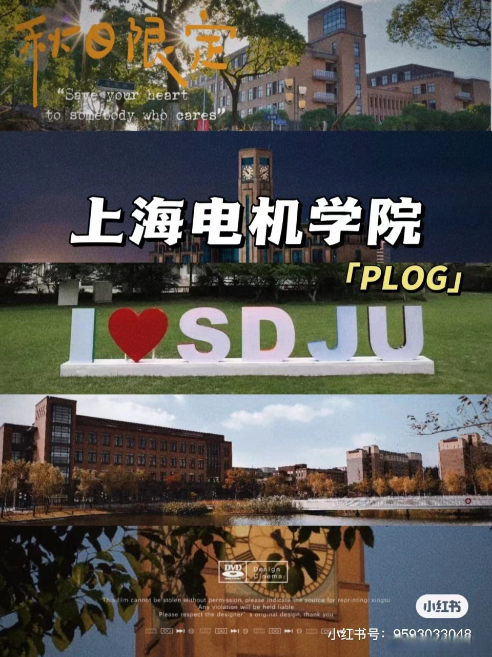 上海电机学院 闵行图片