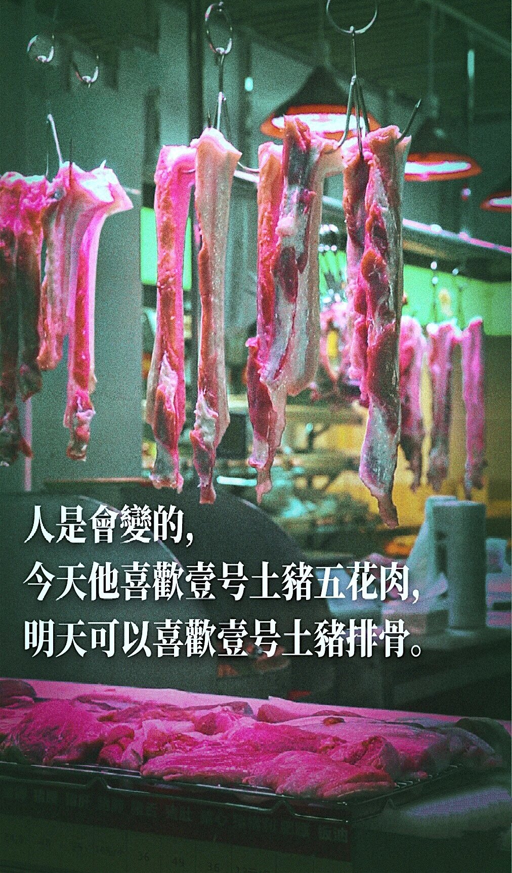 笨猪肉广告语图片