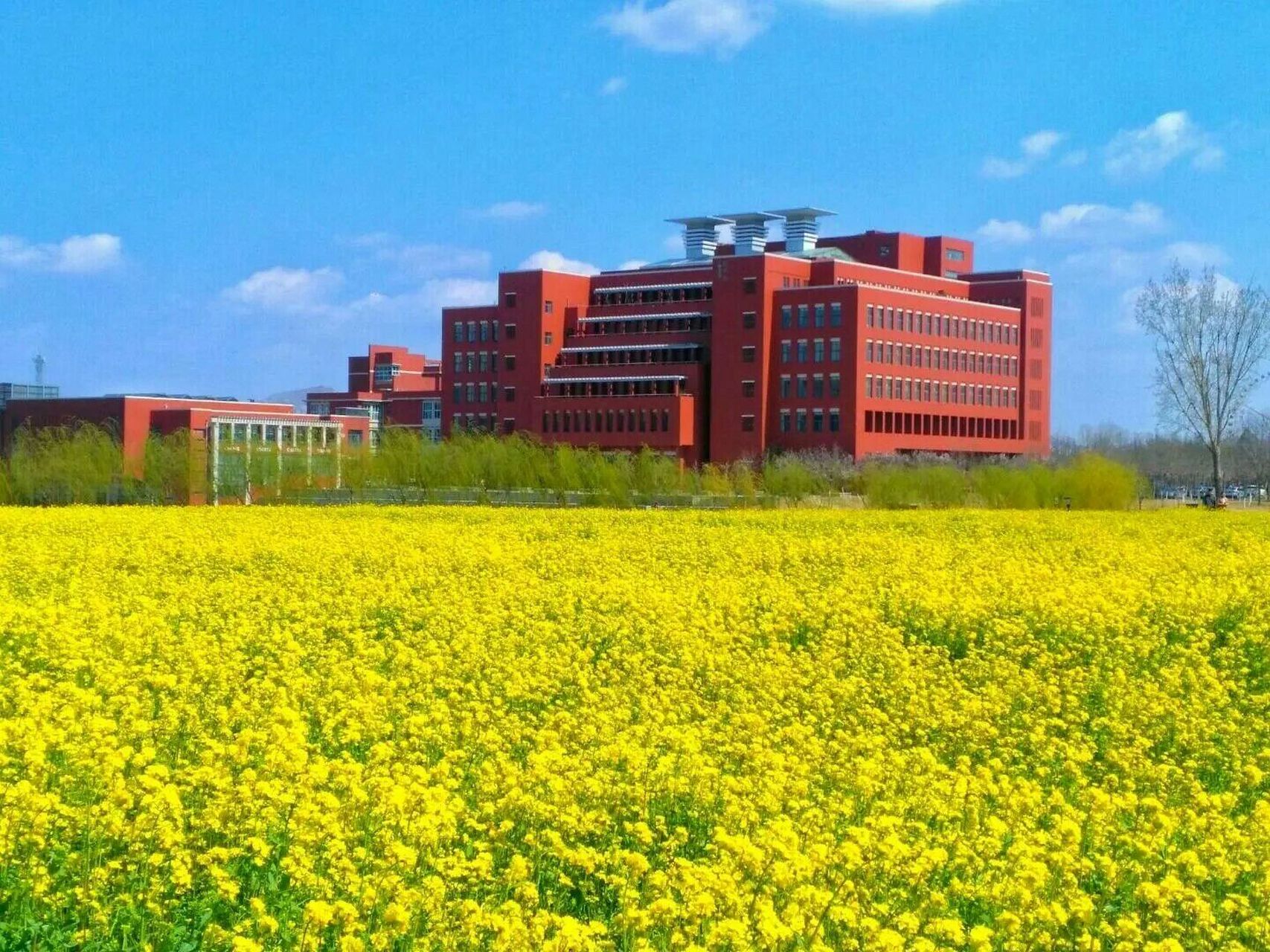 山东交通学院欢迎你!
