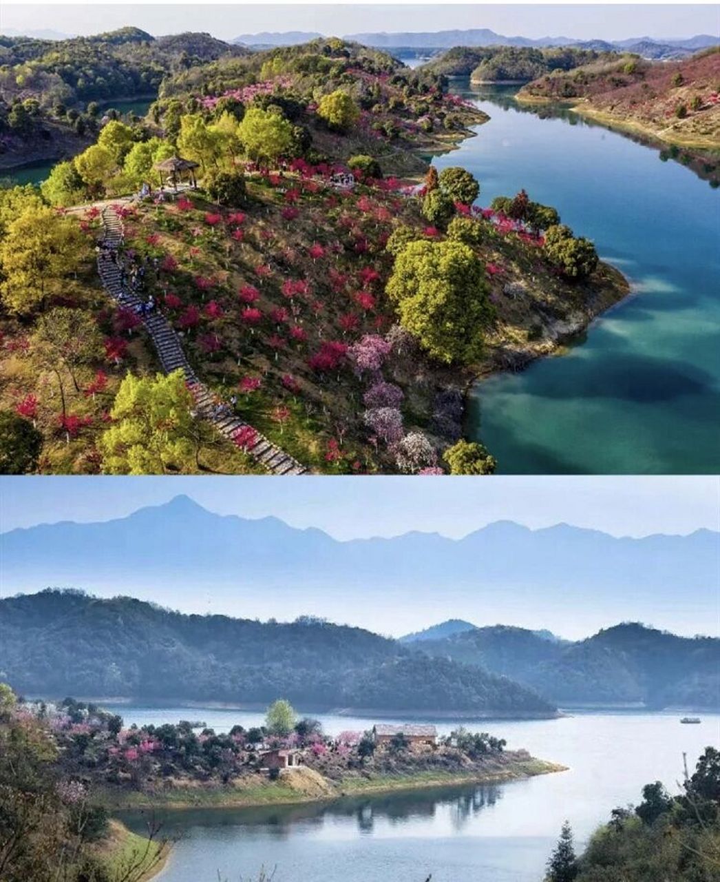 春游赏花96江西庐山西海花源谷 94花朝节来啦,赏花香看汉服秀