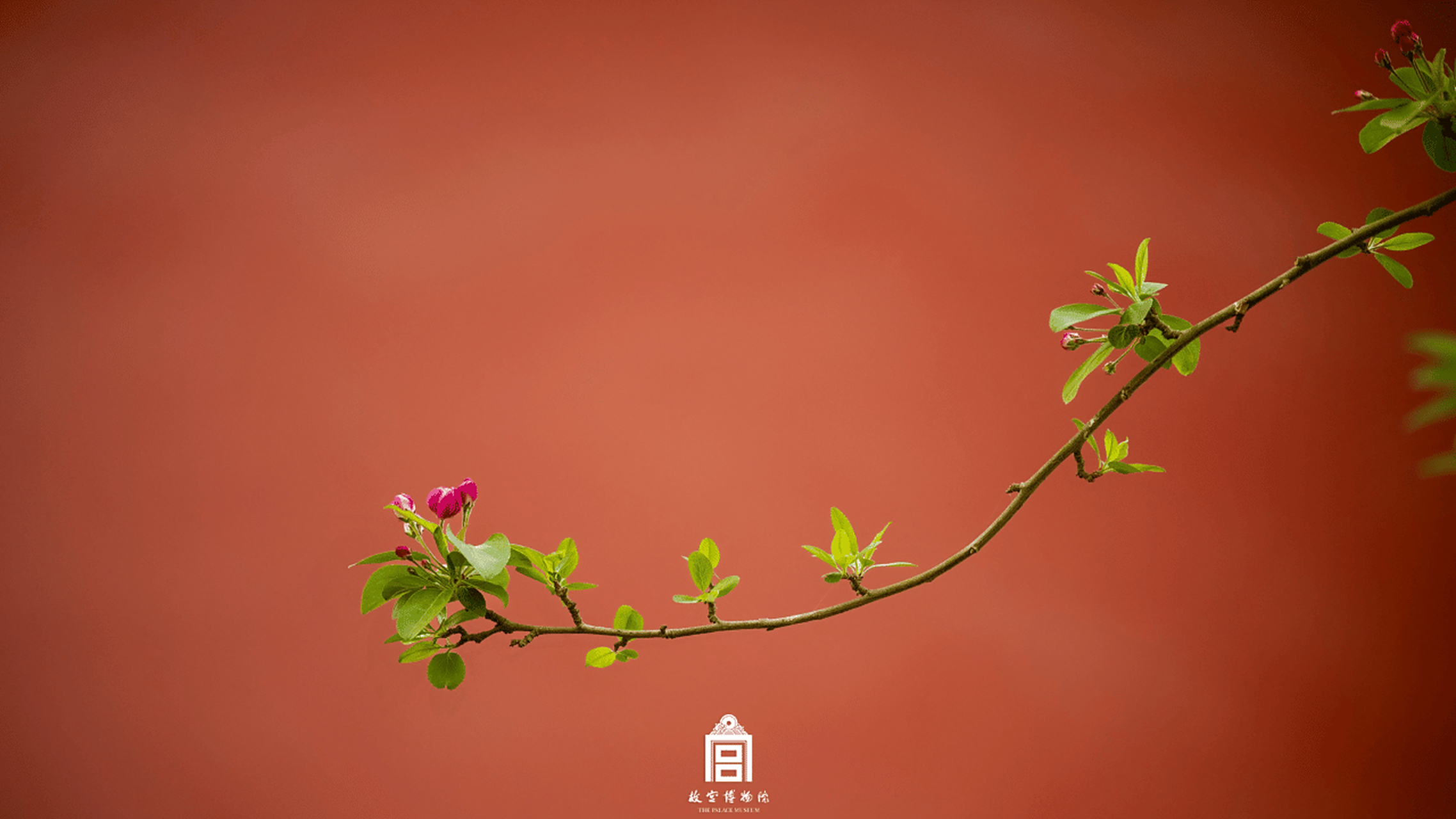 素净而明丽,含蓄而热烈,是春日的多面魅力,点击图片观赏 晚安,团子们