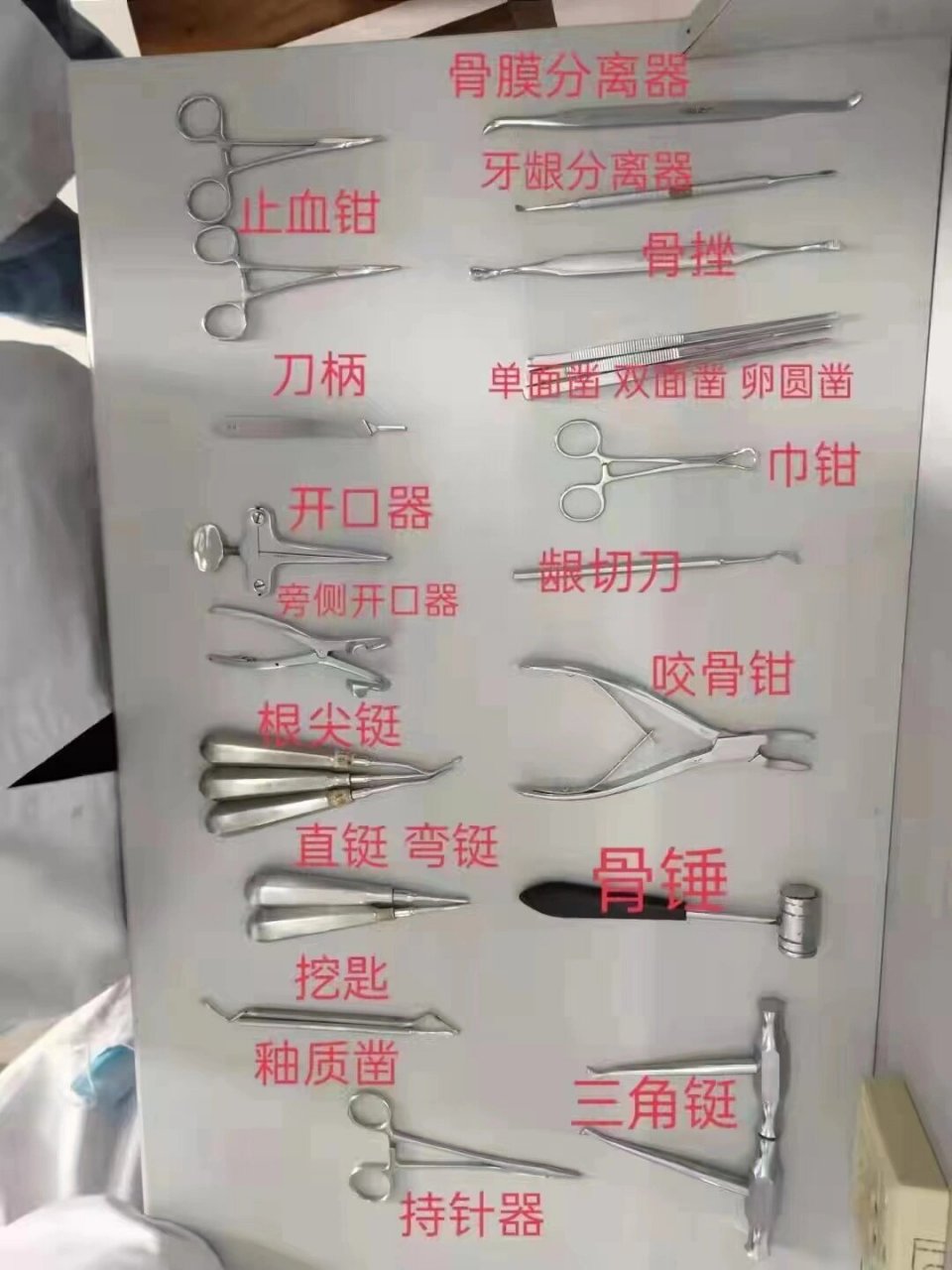 牙科工具图片及名字图片