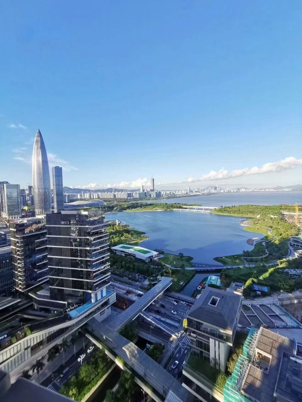 深圳湾1号,稀缺海景豪宅,诚心售5.