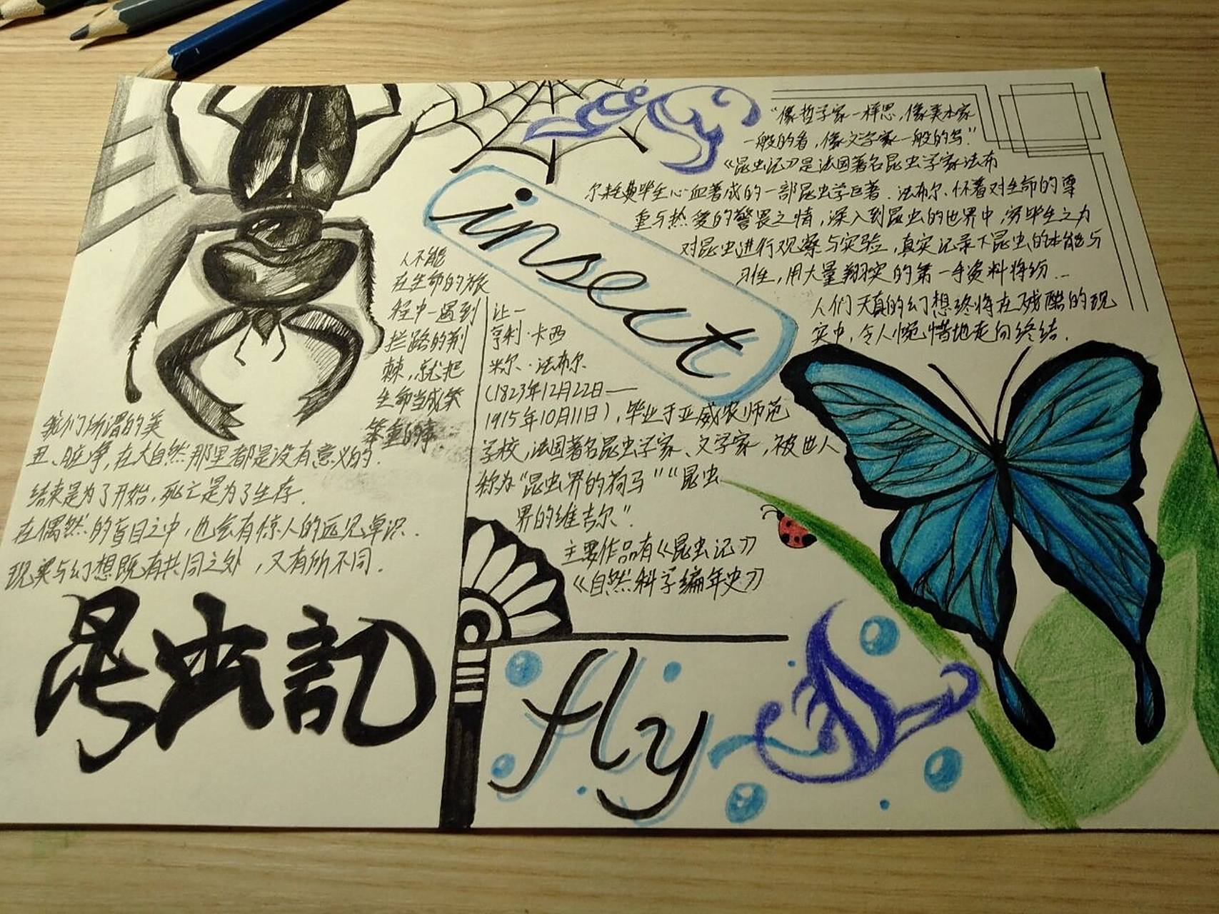 昆虫记手抄报