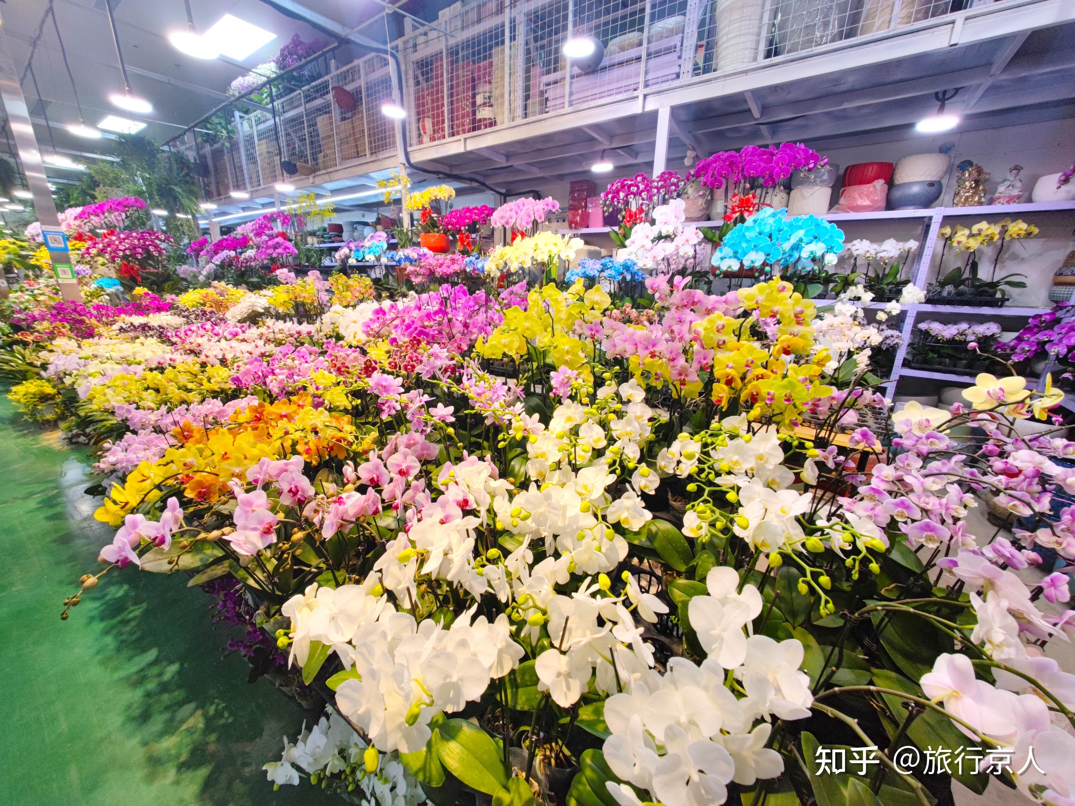 北京有哪些好的鲜花批发市场花卉市场