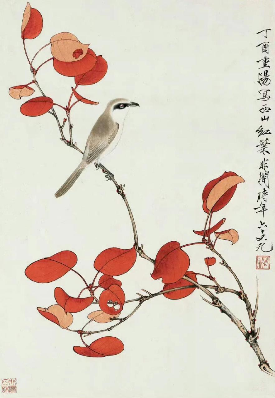 " 红叶小鸟 … "丨于非闇 · 工笔欣赏