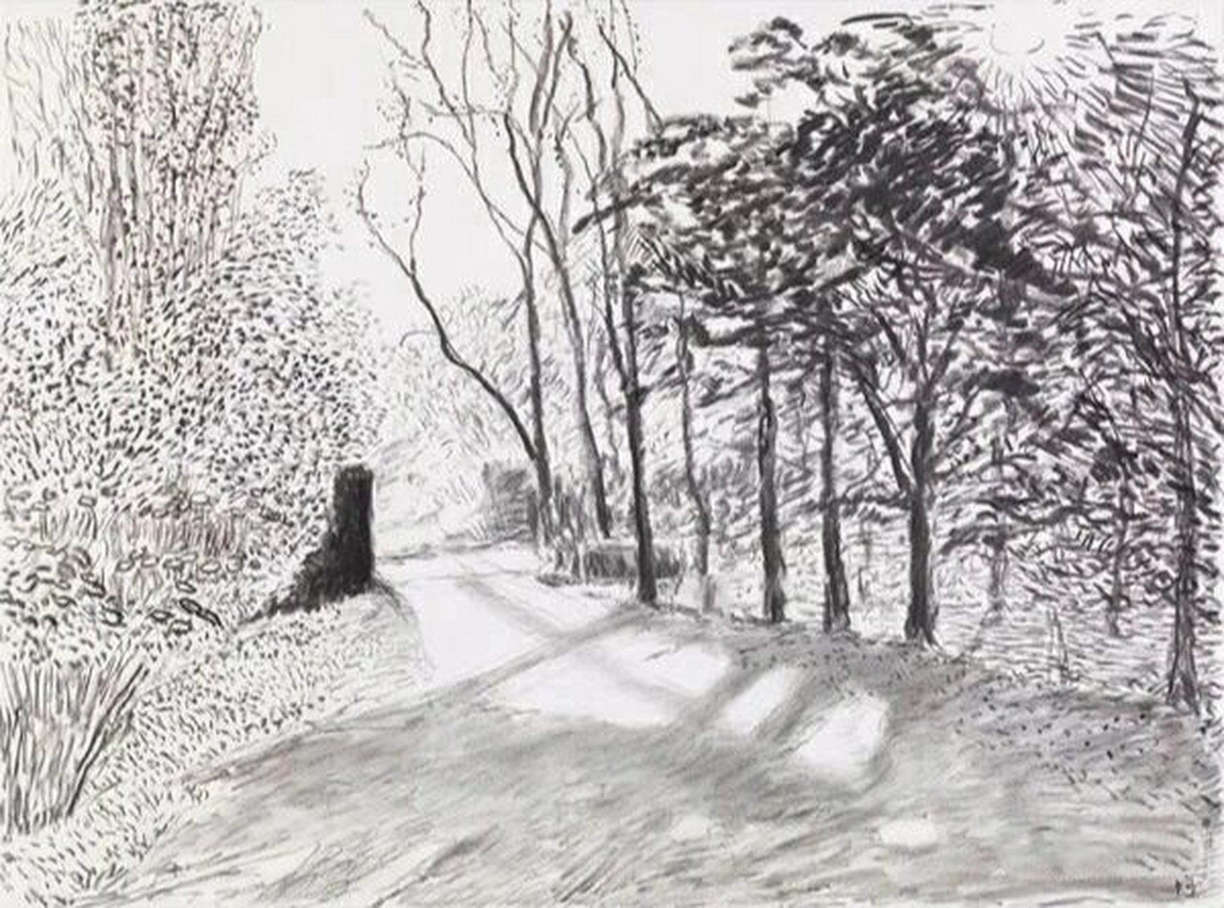 大卫·霍克尼 素描风景作品赏析 91大卫·霍克尼,1937年生于英国