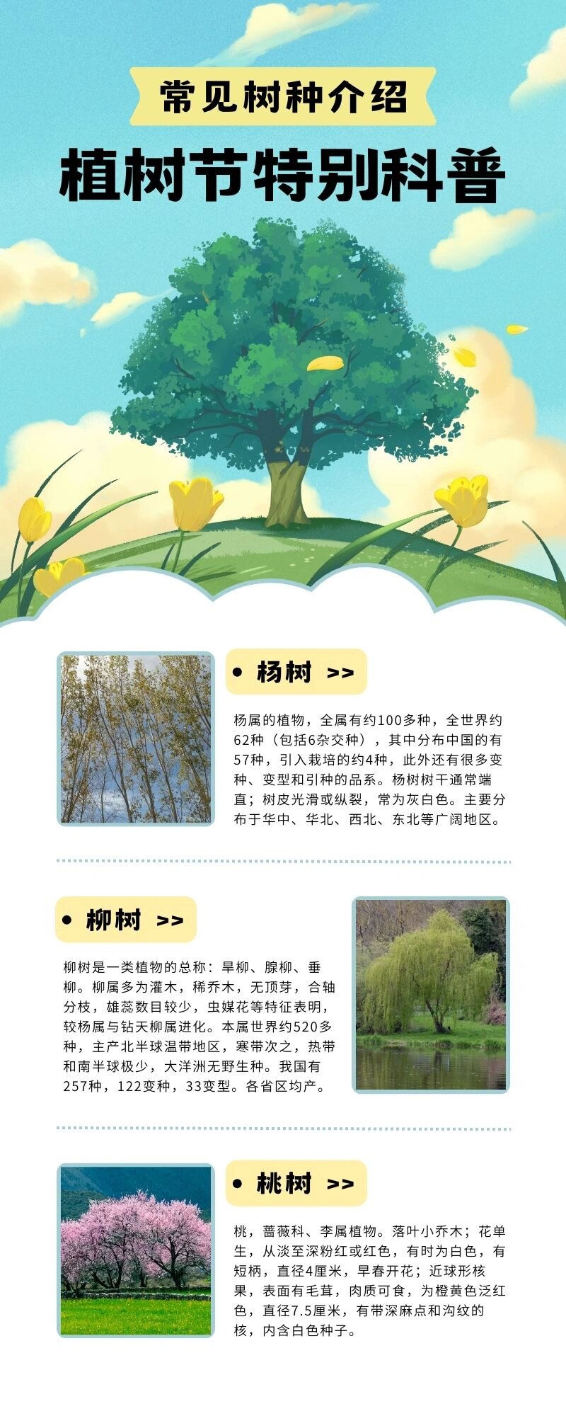 常见树种介绍 植树节特别科普