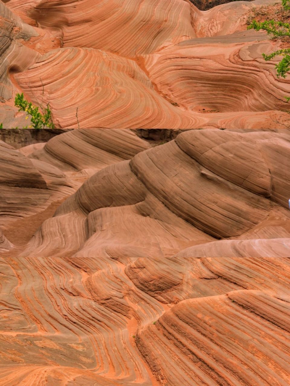 西安周边游| 宝藏景点9215陕北靖边赤红丹霞  靖边龙洲丹霞地貌