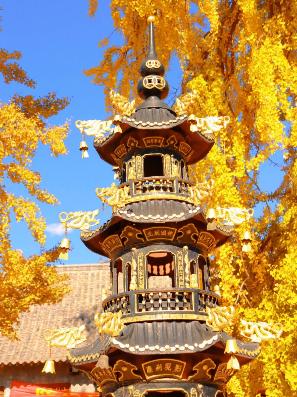 青岛     法海寺 说起青岛,大多数人最先想到的是海滩,建筑和啤酒.