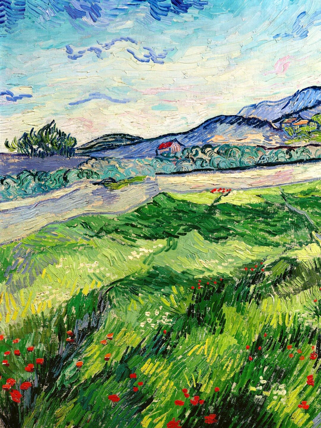 梵高《绿色的麦田》作品赏析(含细节)