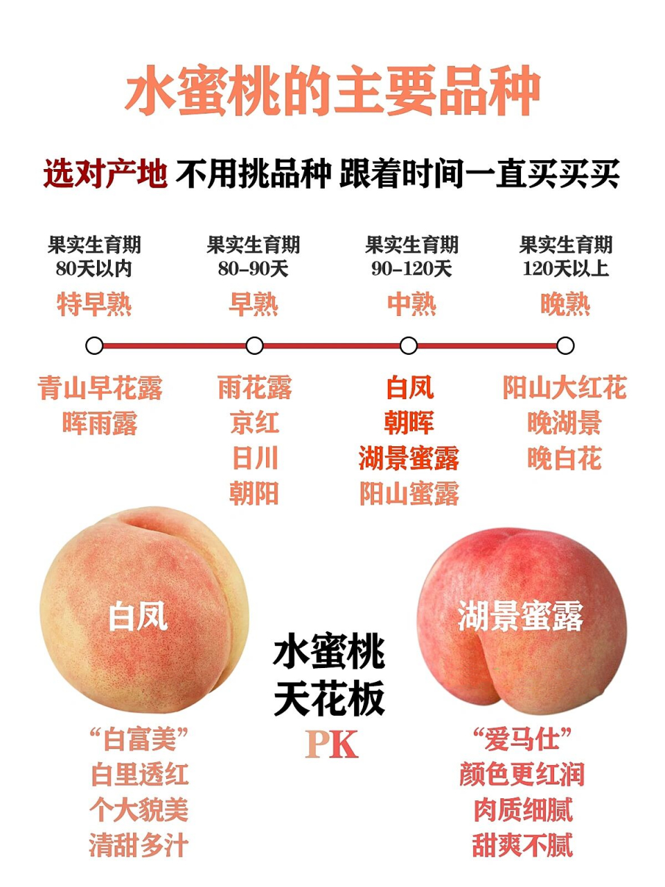 白凤 湖景 到底选谁 风很大的阳山水蜜桃最近又上新品种啦,你知道有