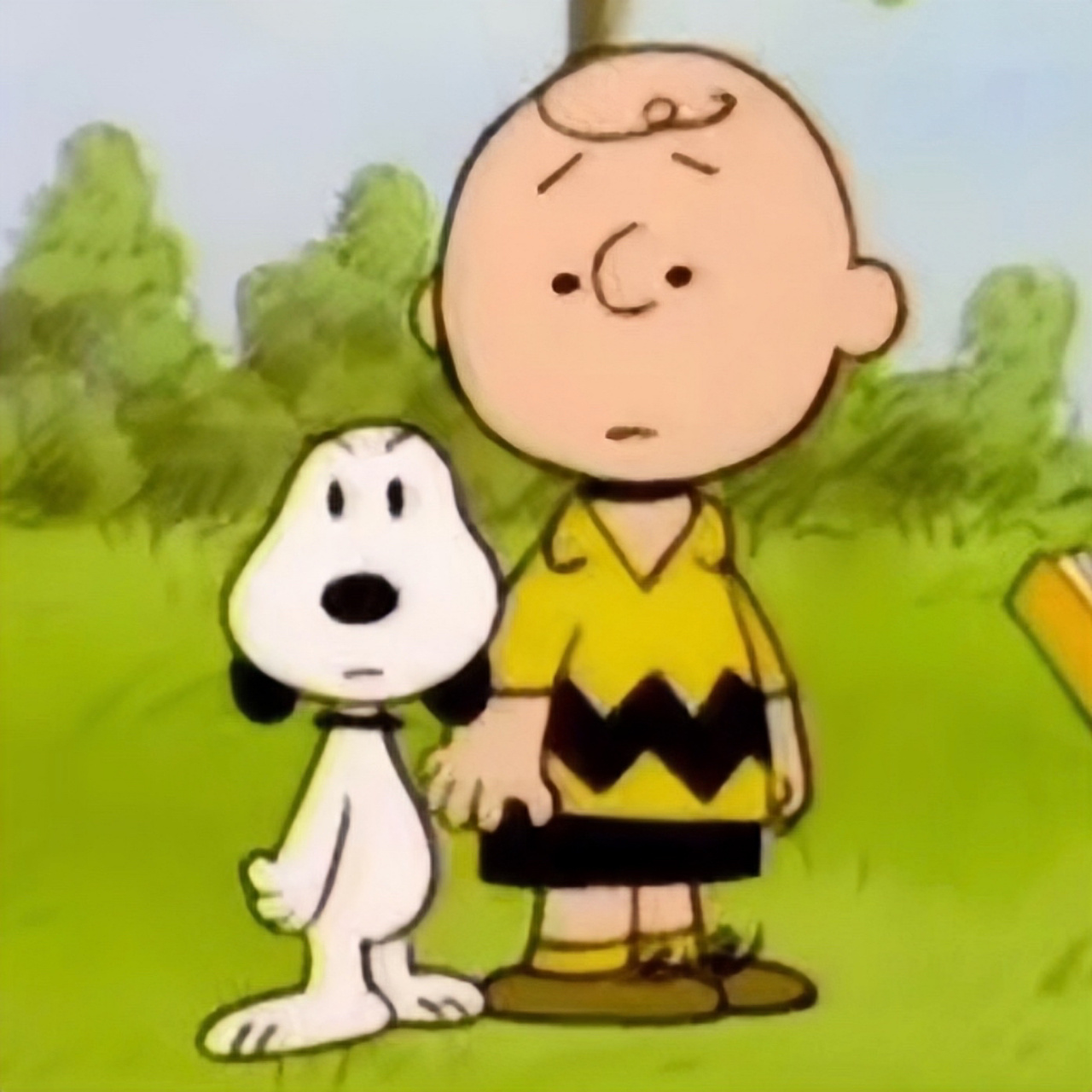 史努比|懵(正脸捕获)