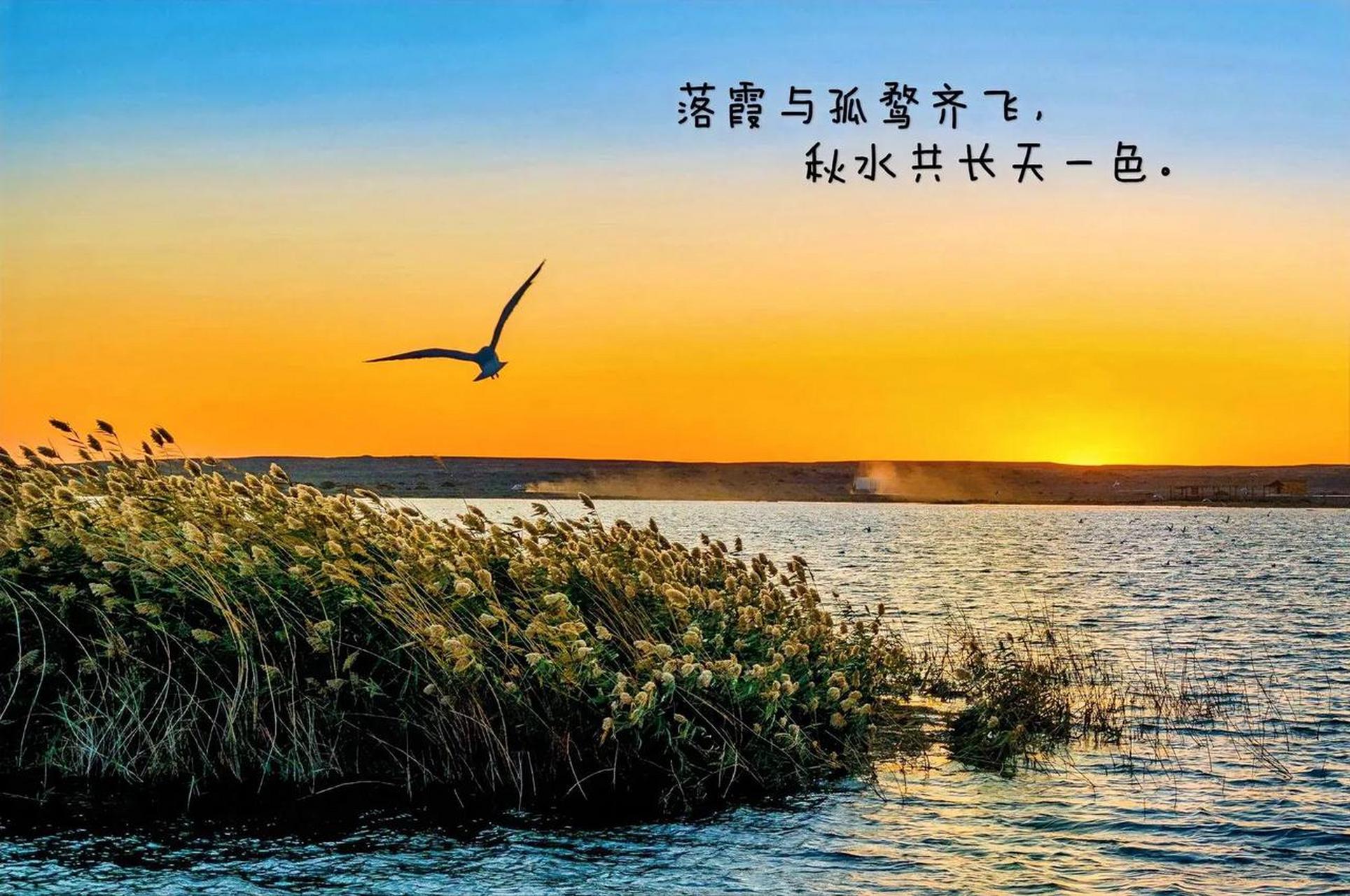 在你心目中最美的诗是哪一句 落霞与孤鹜齐飞,秋水共长天一色