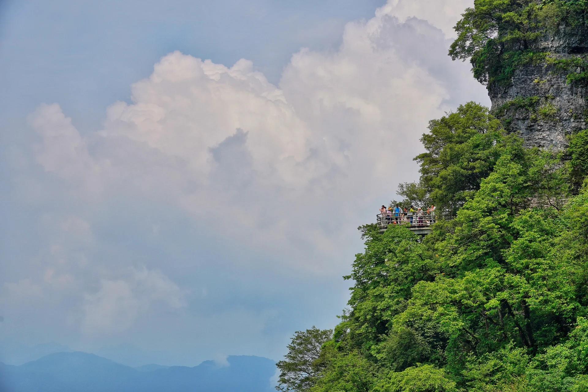 陕西·汉中·南郑·龙头山(二) 龙头山属米仓山山系,最高 海拔233 6米