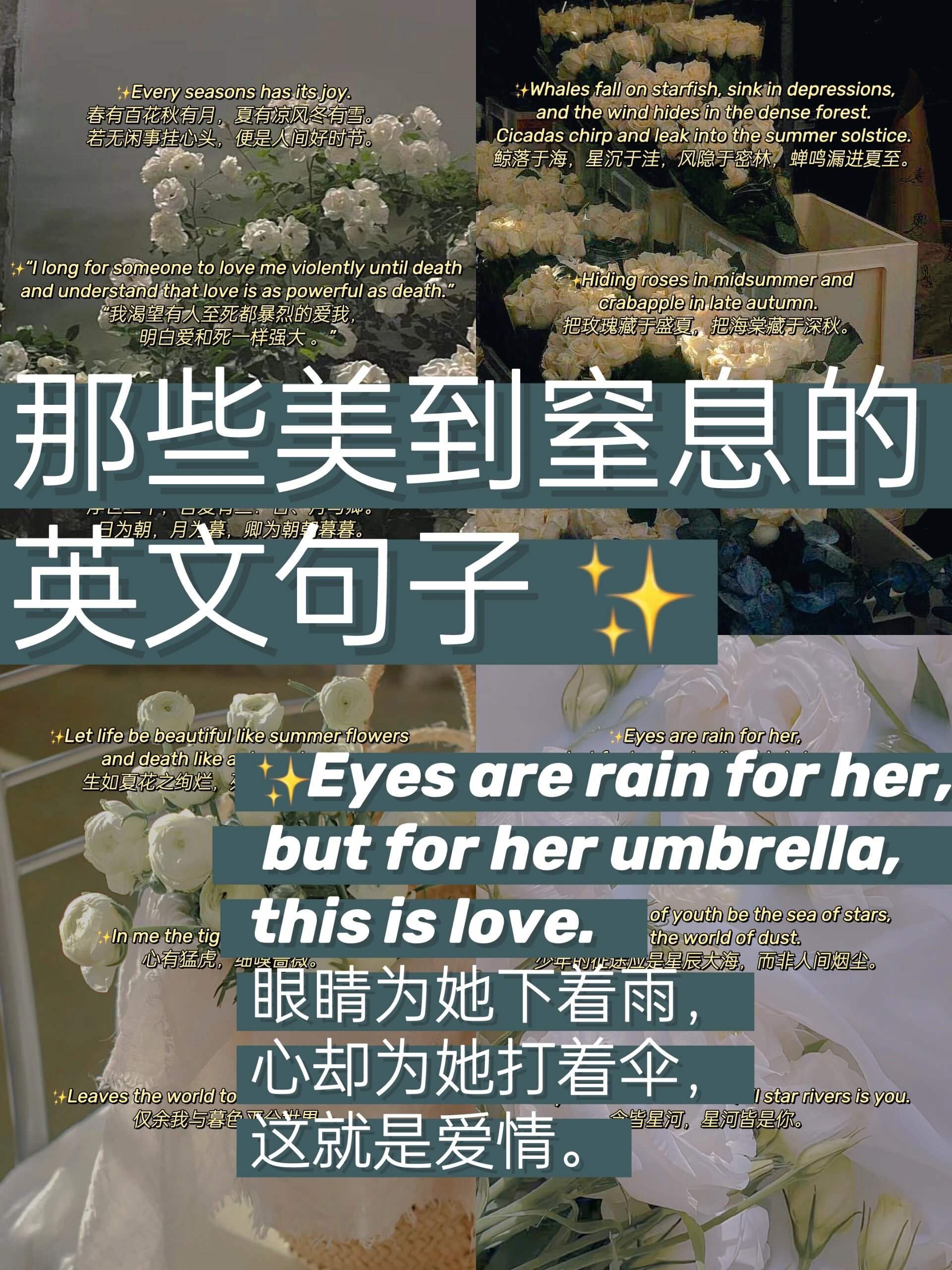 seasons of love简谱图片