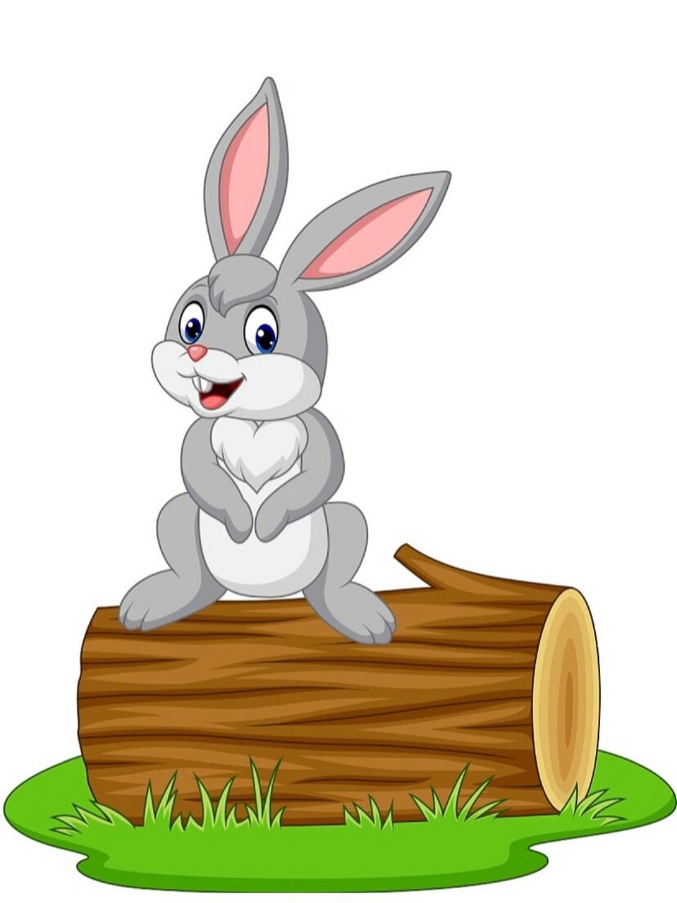 🐰又大又圆又白的大白兔子 🐰大白兔子吃食时三瓣嘴一抿一抿的.