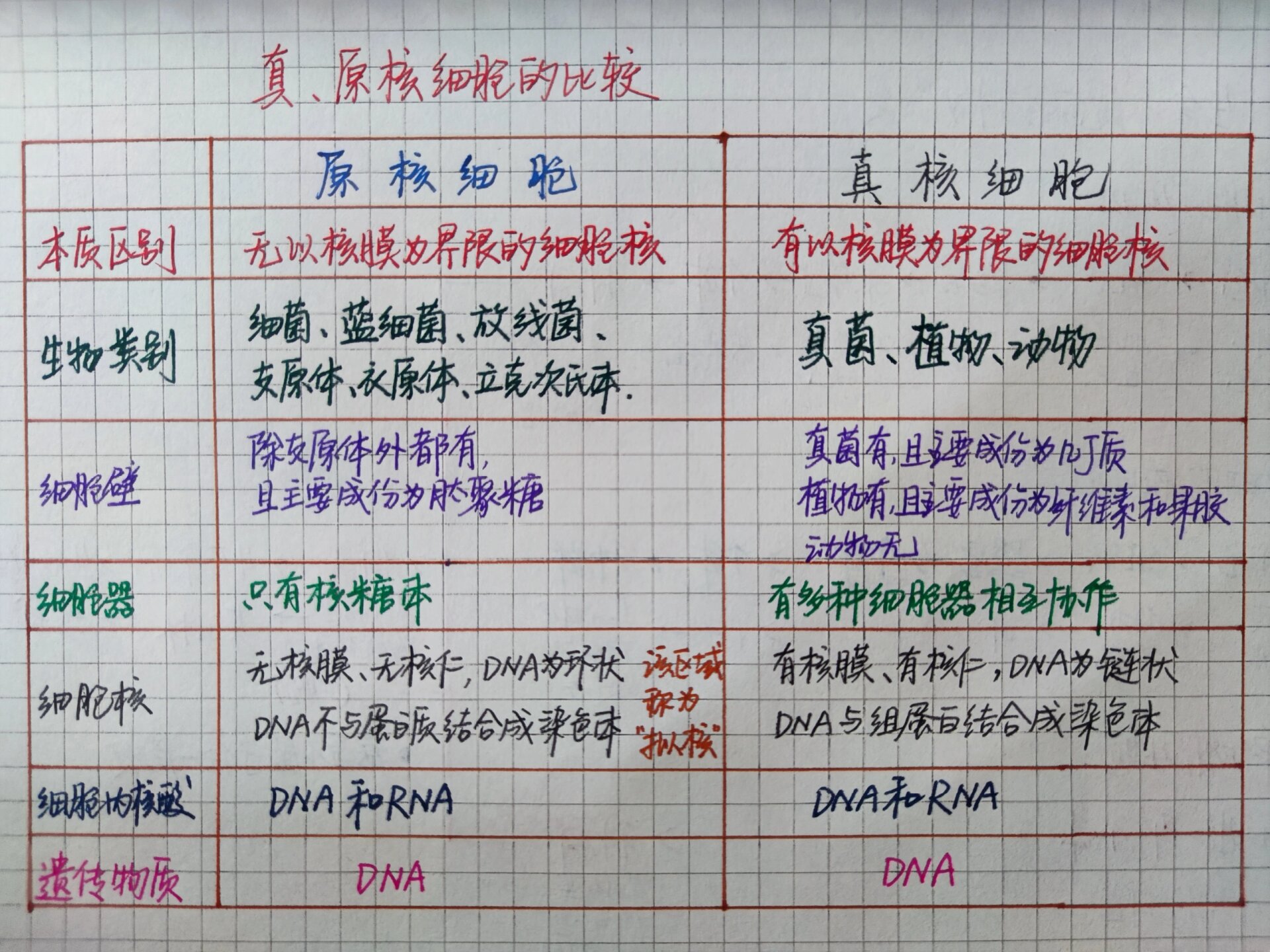 真原核细胞的比较笔记