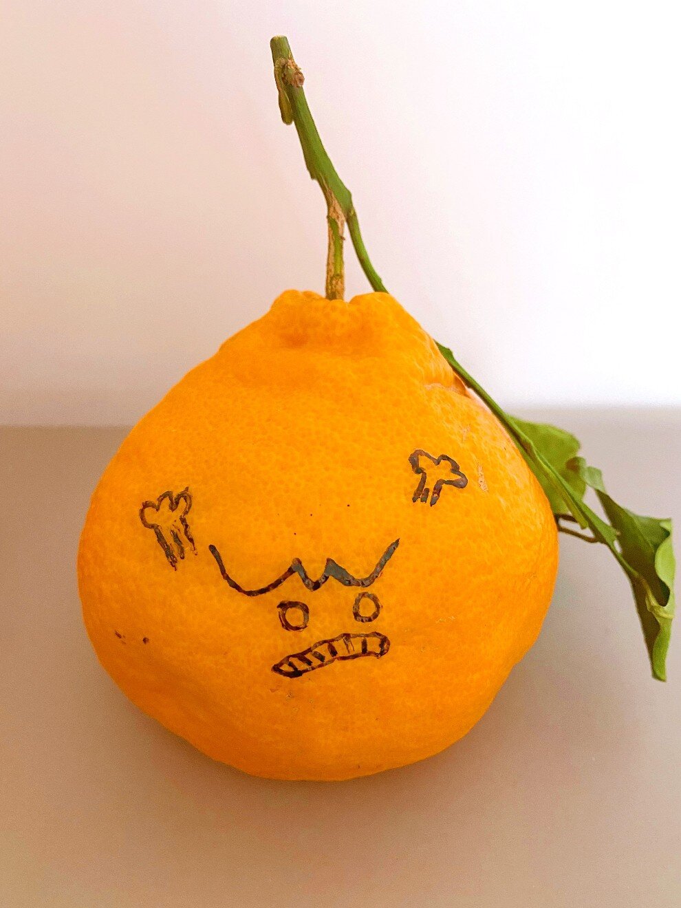 橘子表情包‖丑橘不丑不丑拒92简笔画