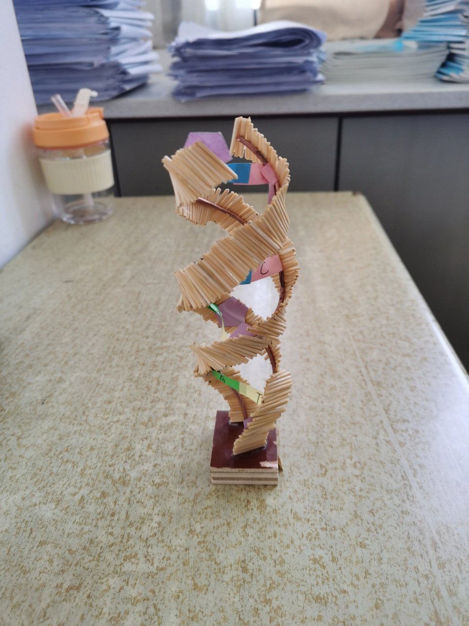 漂亮的dna模型