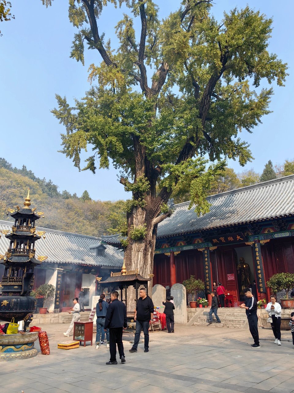 在枣庄!值得的去地方 冠世榴园青檀寺,峄县八景逛不完!