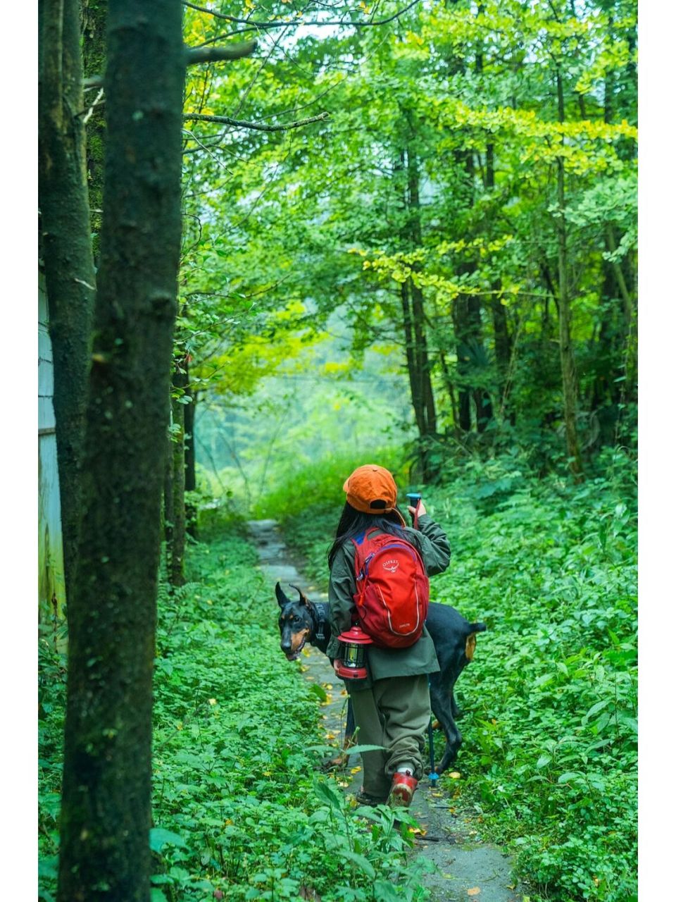 大邑雾中山徒步图片