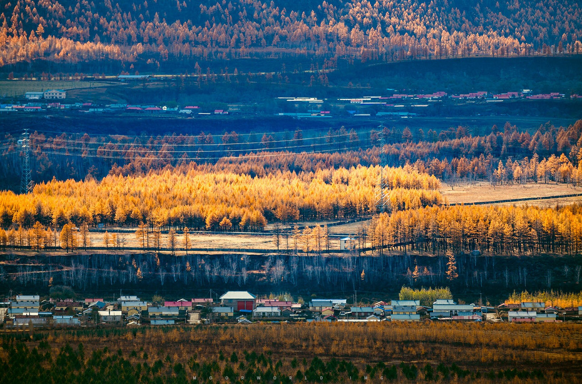 柴河月亮小镇 大兴安岭深处的一片极致森林 有那么一片极致的森林,让