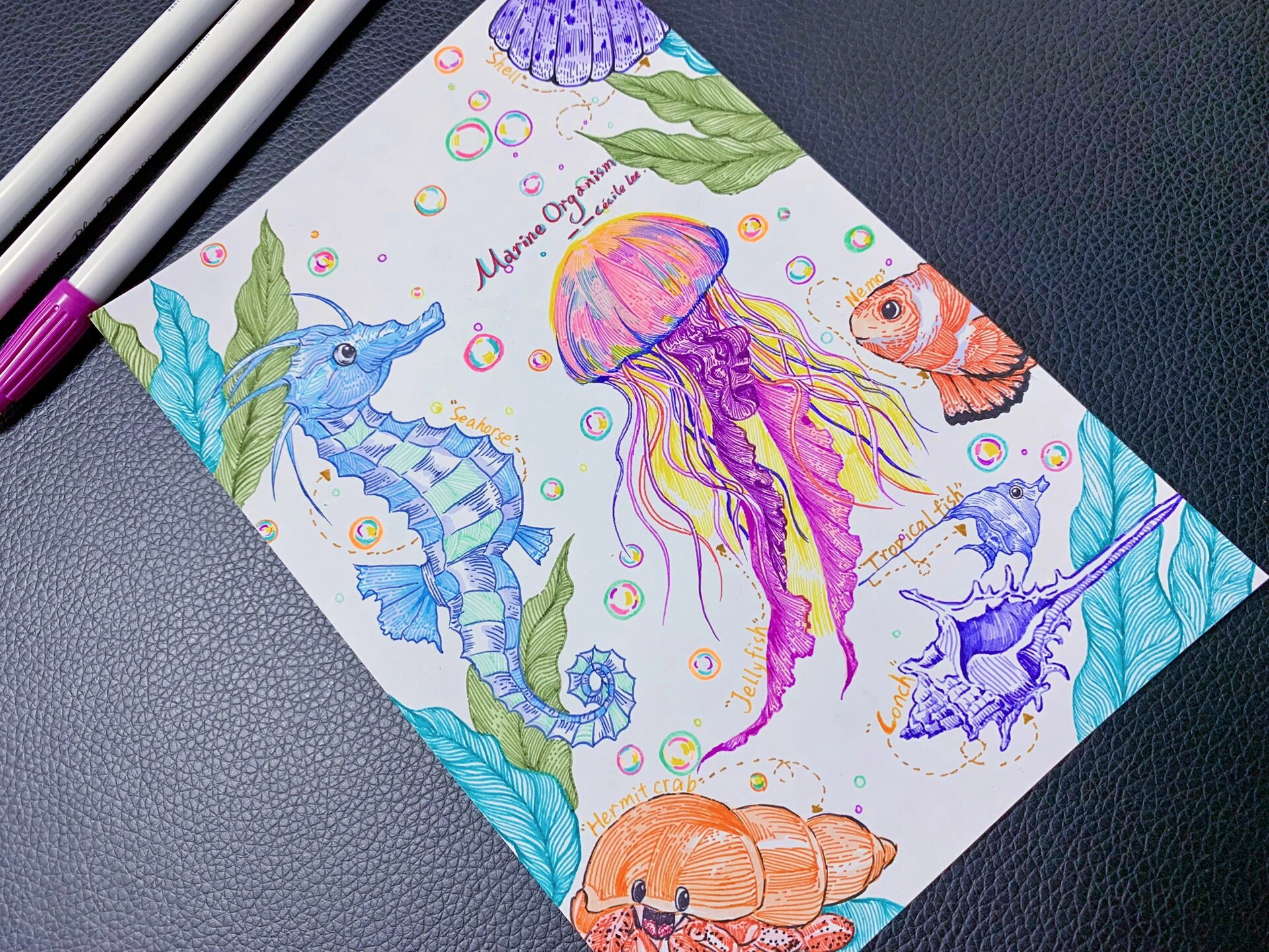 海洋生物速写(附过程图