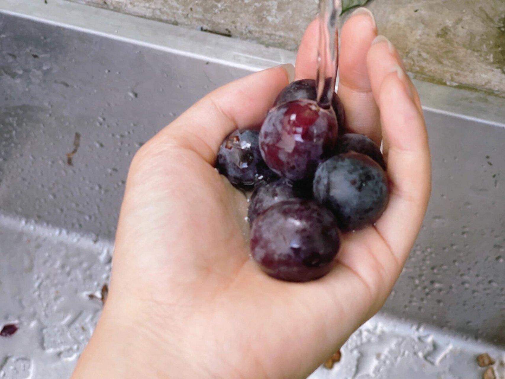 作为一名合肥人,大圩葡萄应该都不陌生吧!