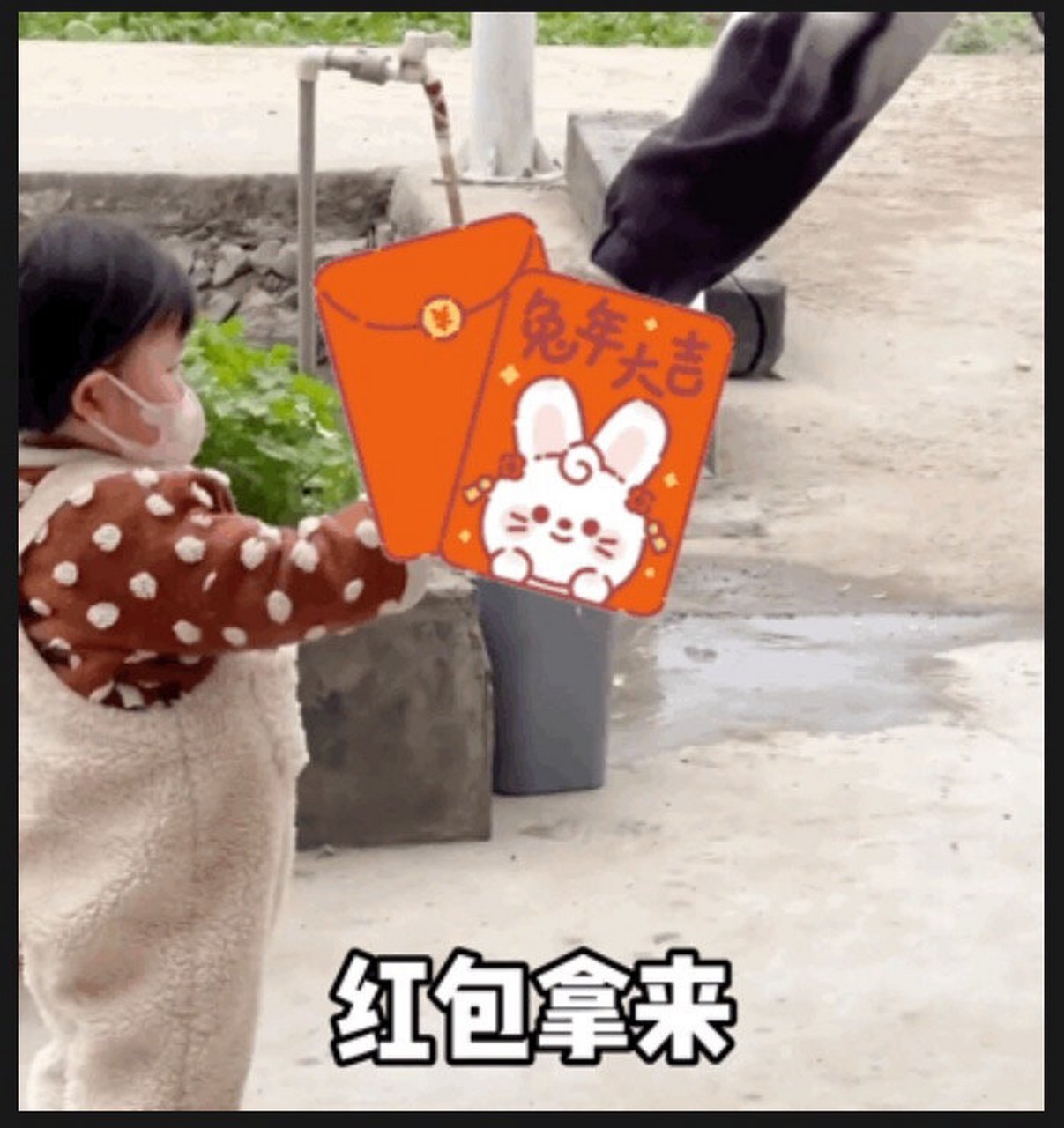 表情包# #过年红包# #我最