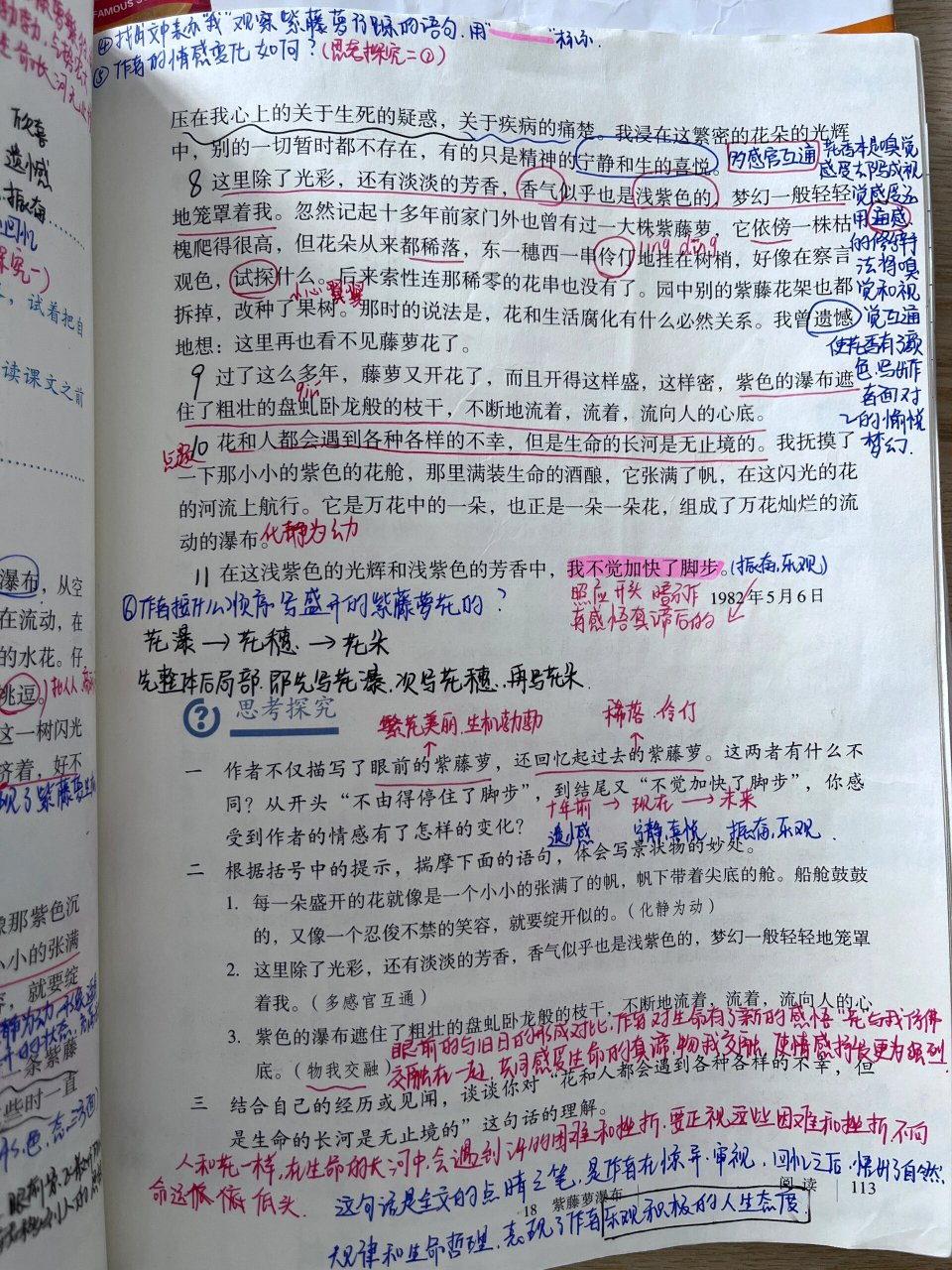 紫藤萝瀑布笔记整理图片