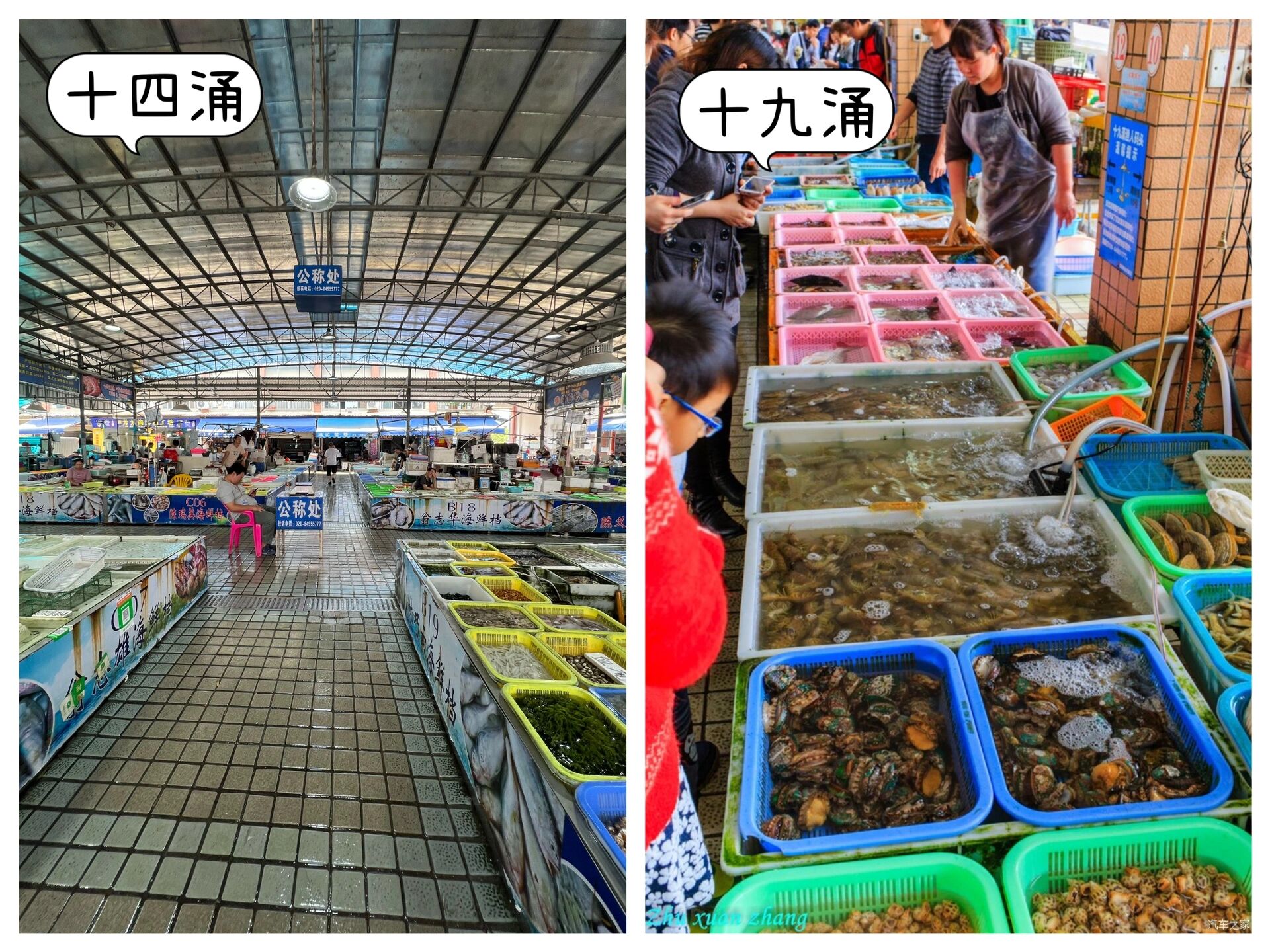 广州南沙海鲜|十四涌vs十九涌(附砍价价格
