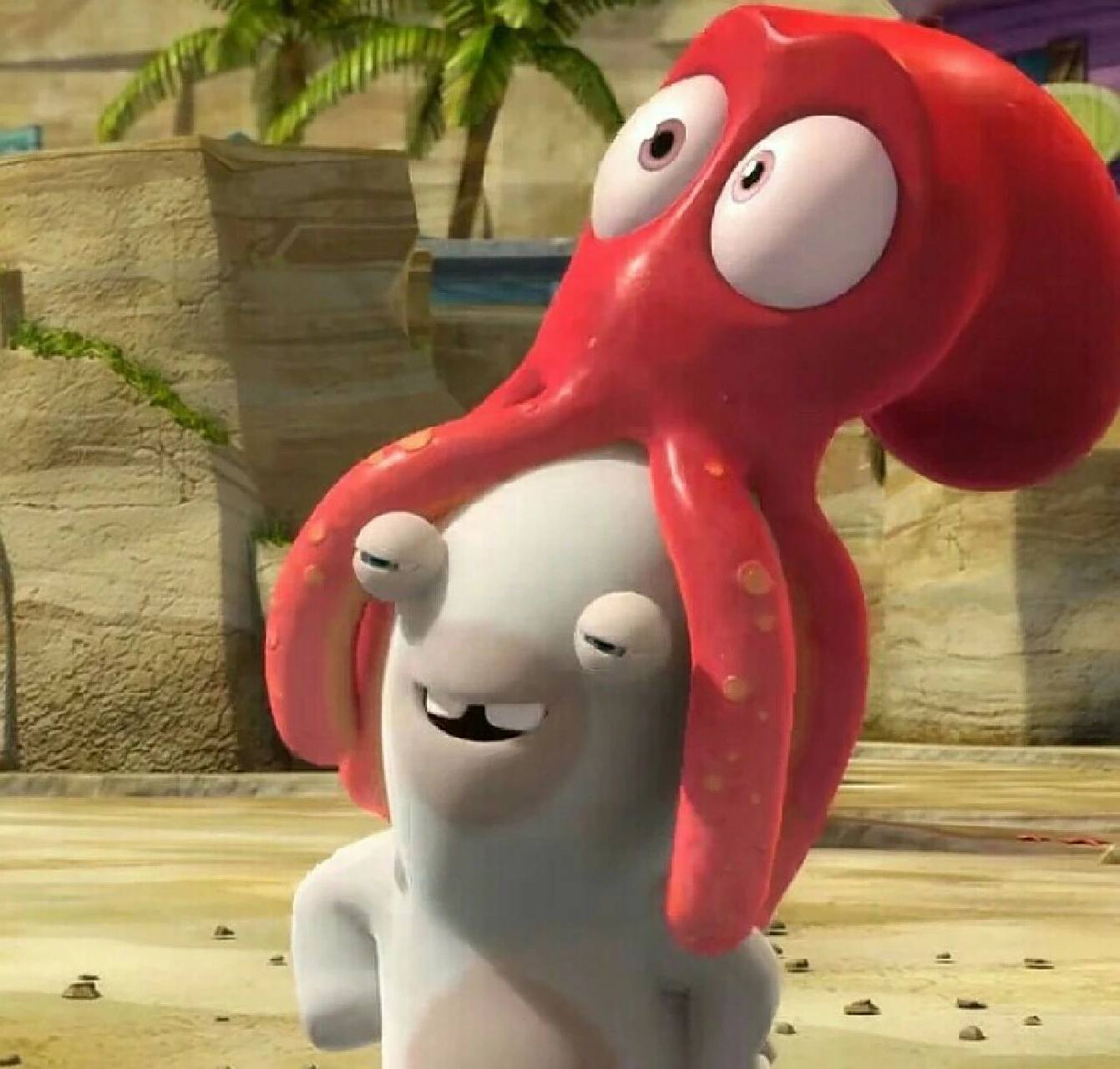 疯狂兔子太可爱了吧