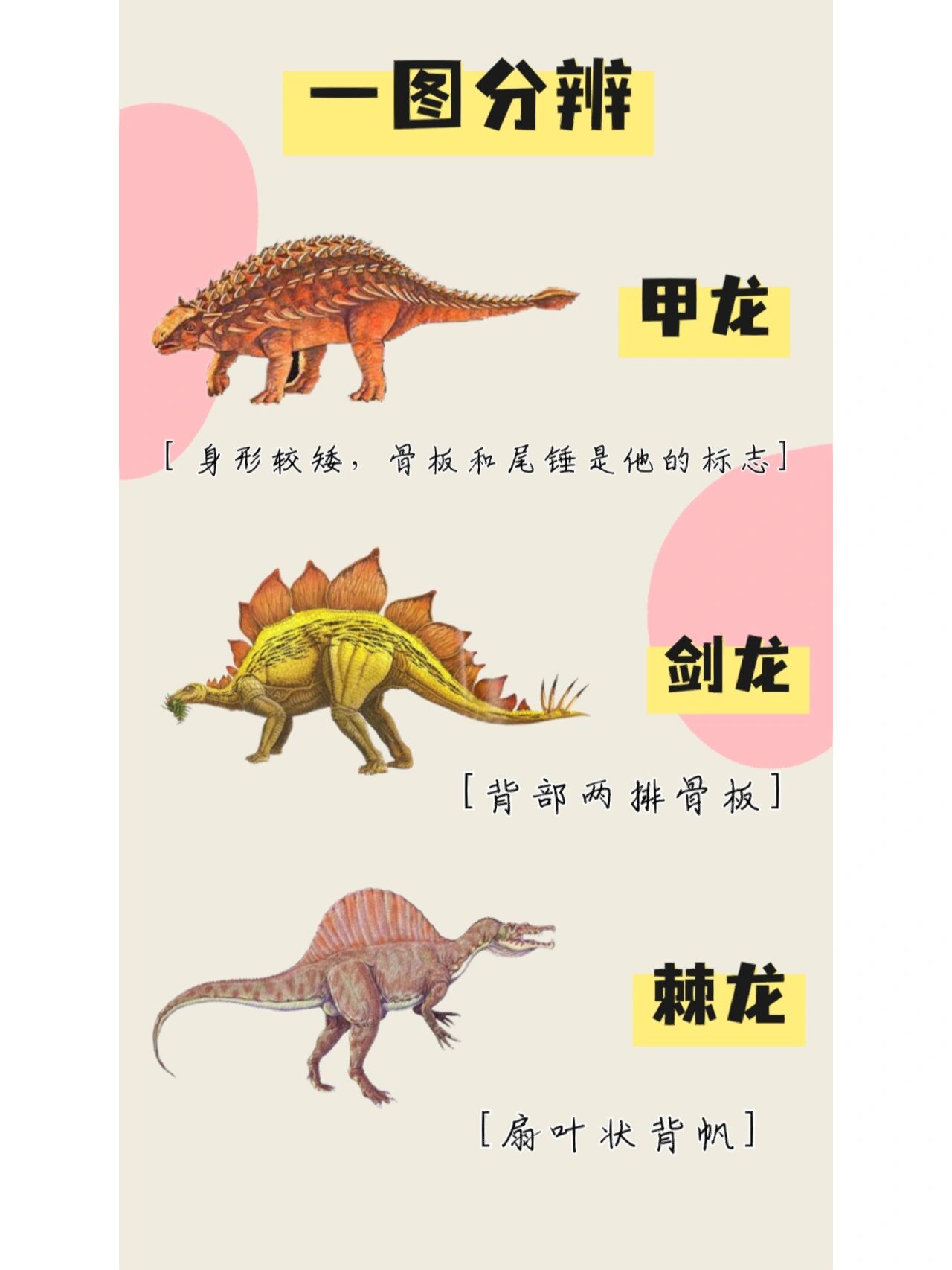 常见恐龙种类都有哪些?