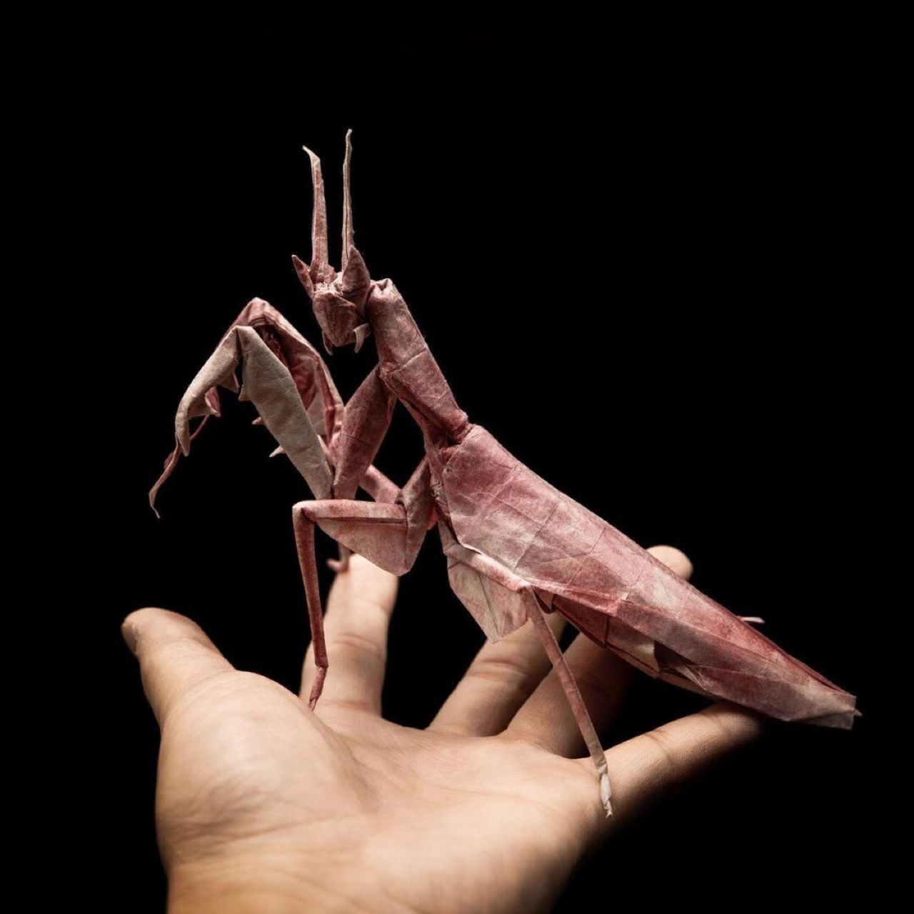 纸艺|折纸:以假乱真的折纸作品6015附图纸6015 作品分享 艺术