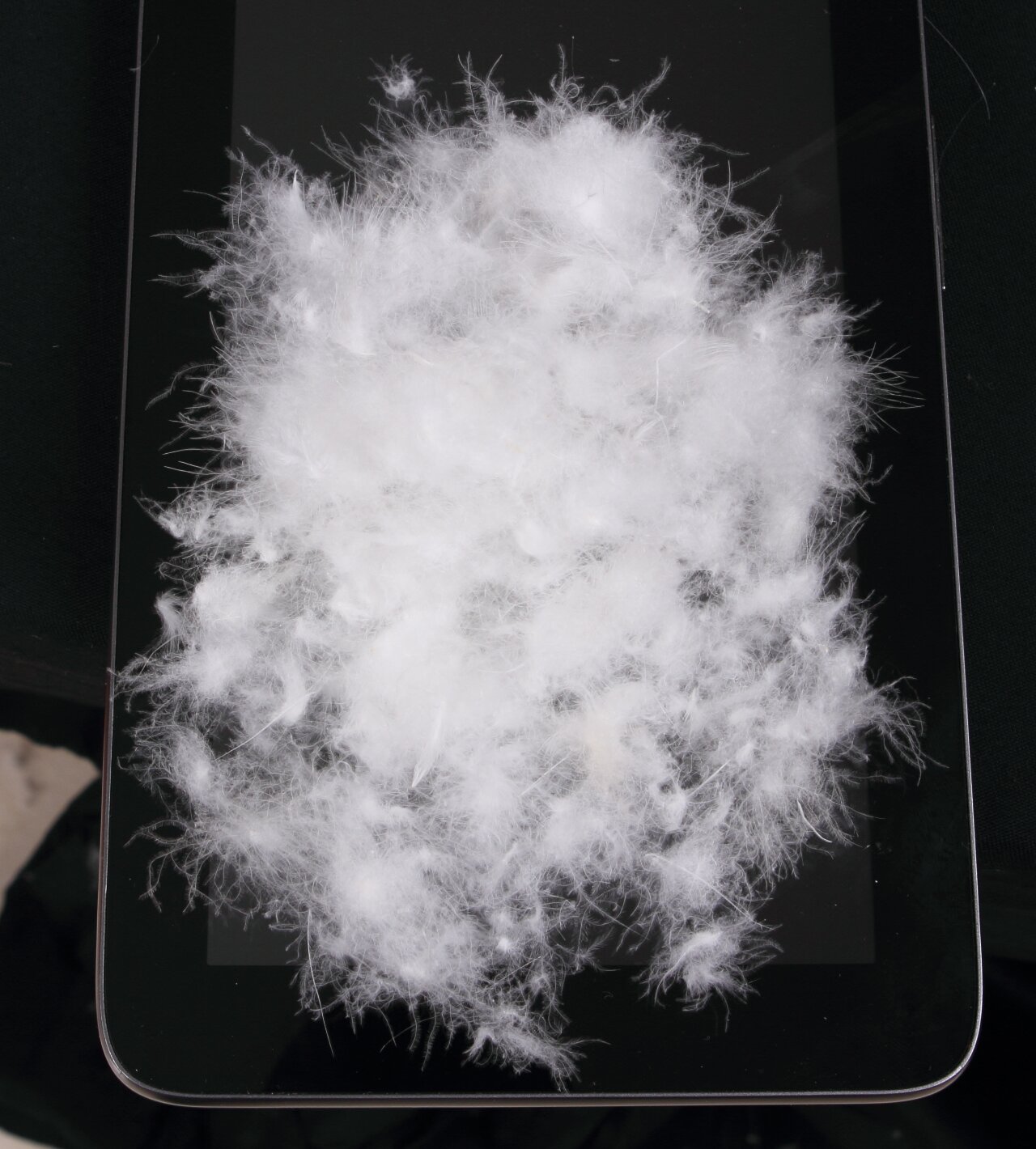 例如,清洁度出现于 gb/t 14272-2011《羽绒服装》,透明度出现于 qb/t