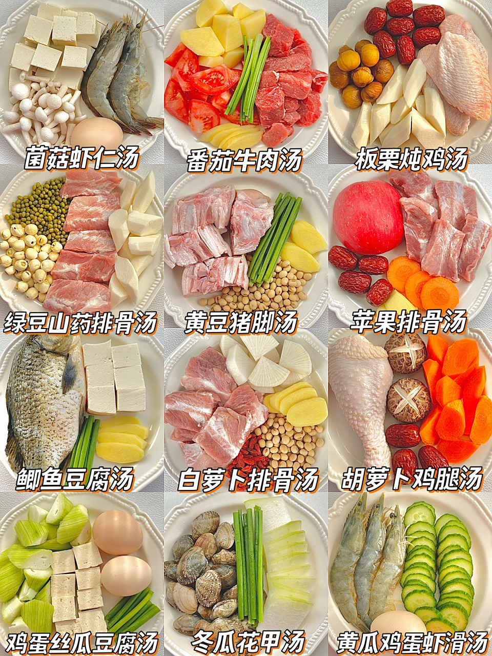 12款宝宝春季营养炖汤食谱合集 |快手鲜美 春天是补钙长高的好时候