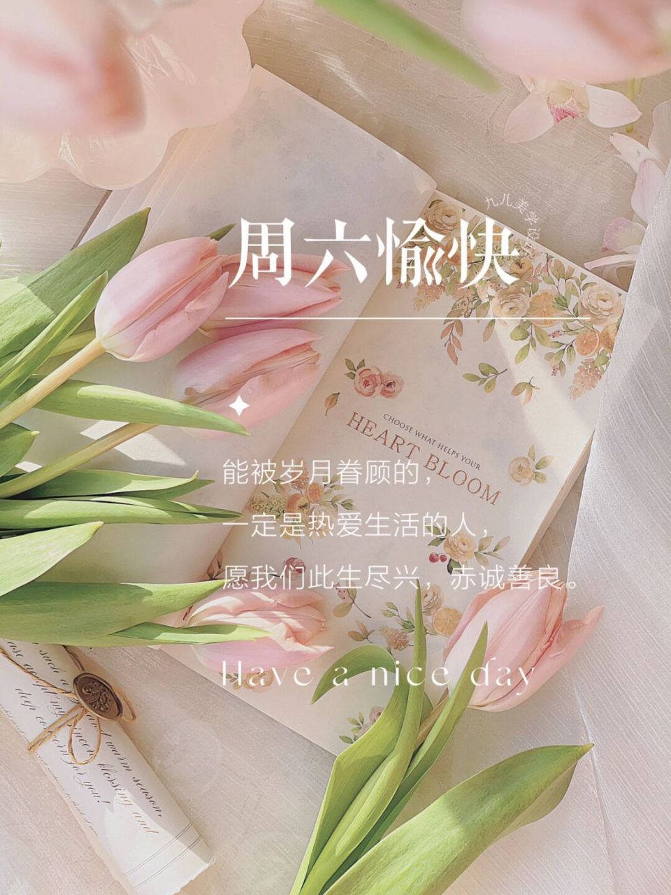 周六愉快日签图分享| 朋友圈美学| 文案分享 #浪漫生活的记录者