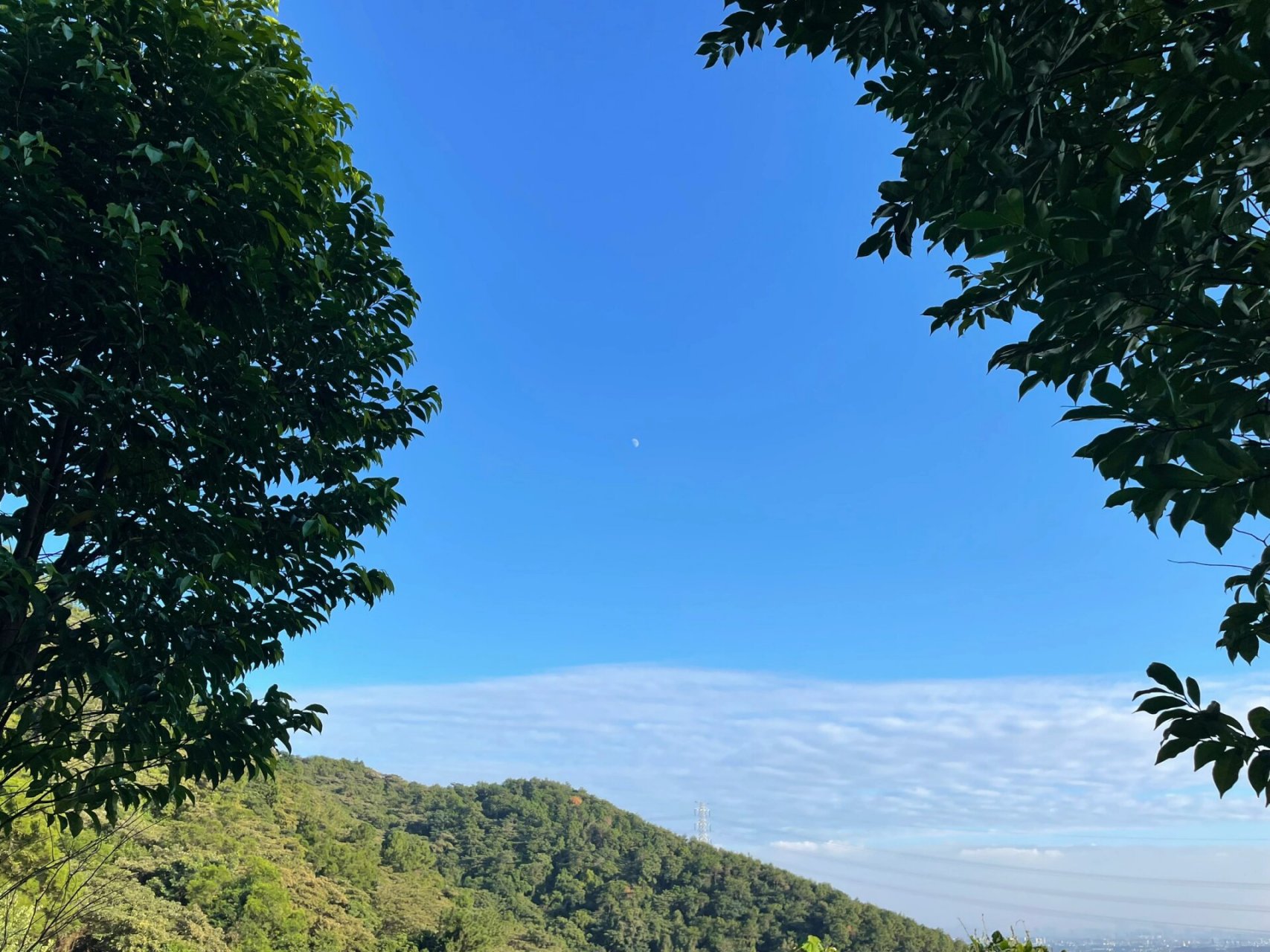 广州增城南香山森林公园 重阳登高,路好走,一路全是爬坡,脚已废.