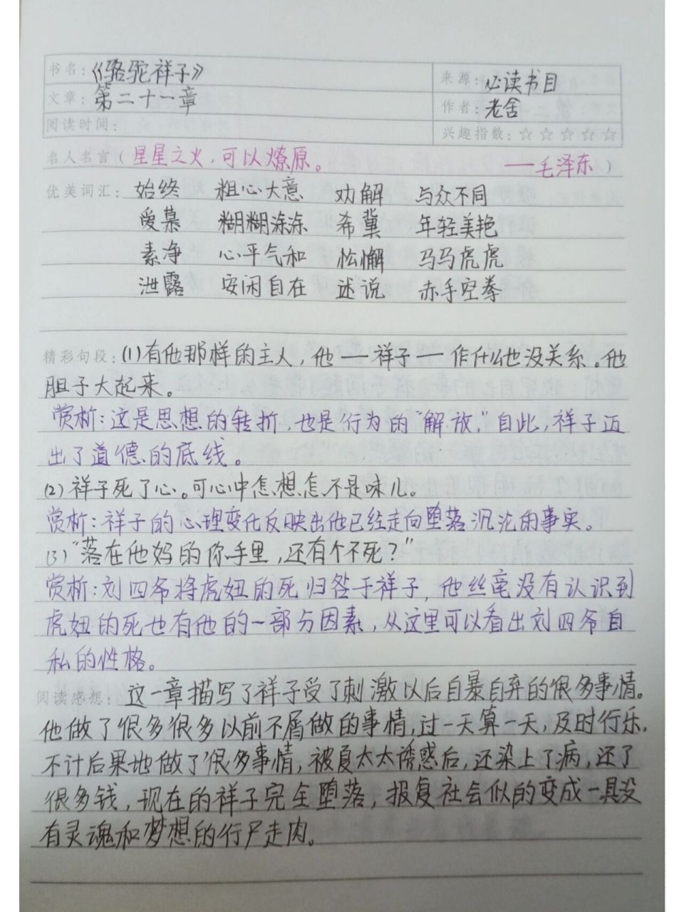 《 骆驼祥子 》读书笔记----第二十一章