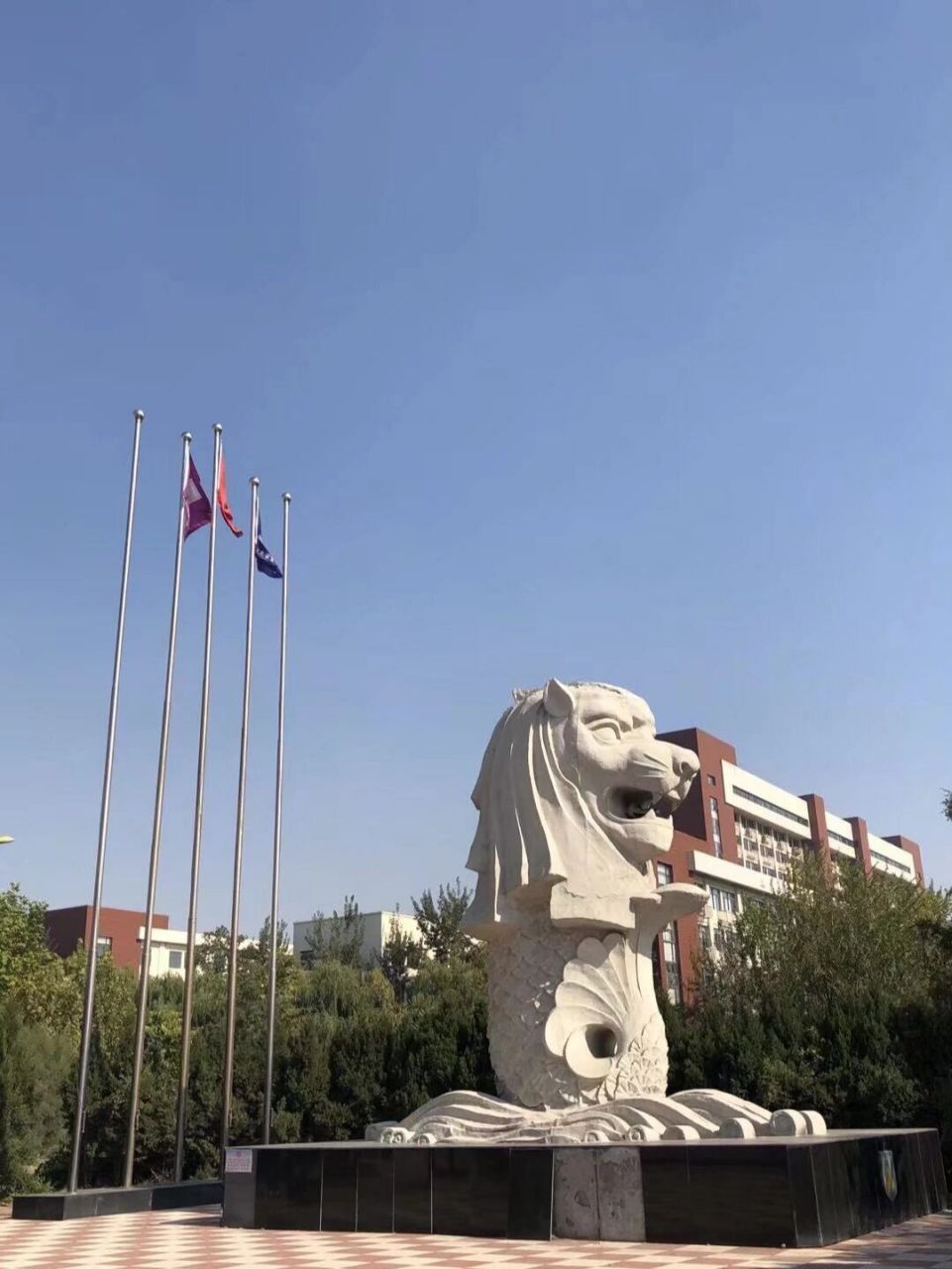 天津商业大学宝德学院|学生会介绍 94学生会分为院学生会和系学生会