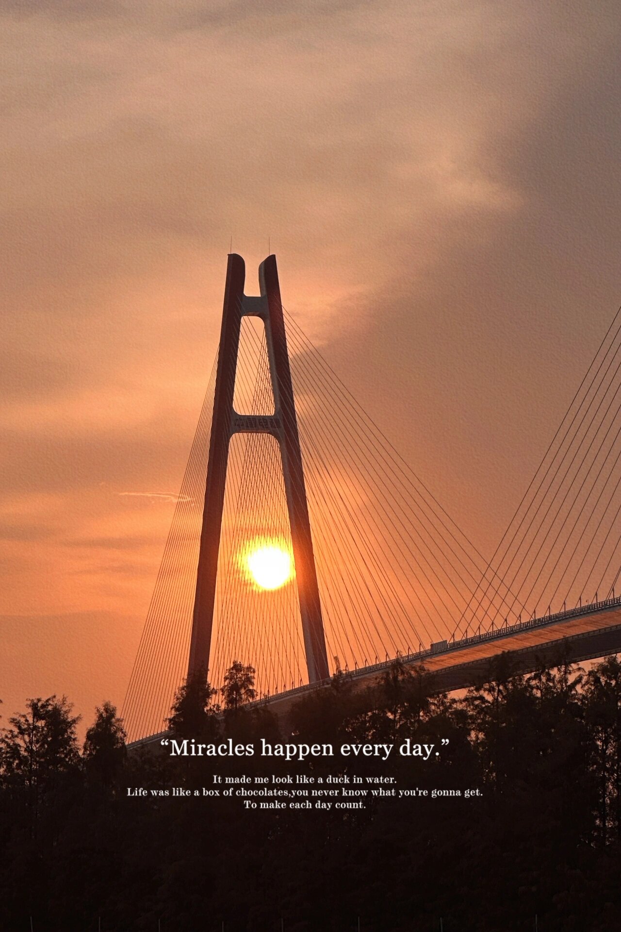 新会拍照#银洲湖大桥下的日落