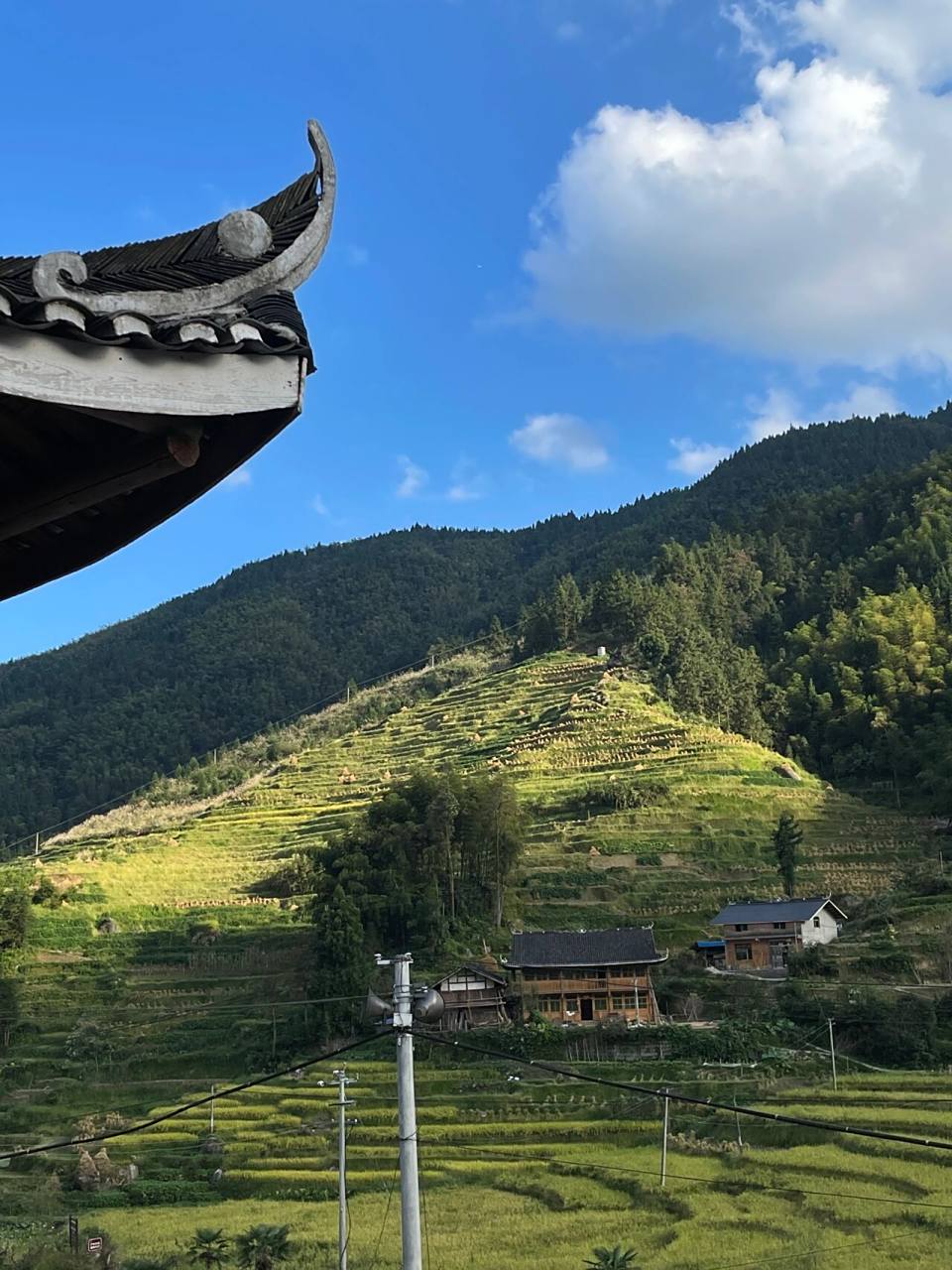 鹊界梯田|向往的生活呀 99紫鹊界梯田位于湖南省娄底市新化县水平镇