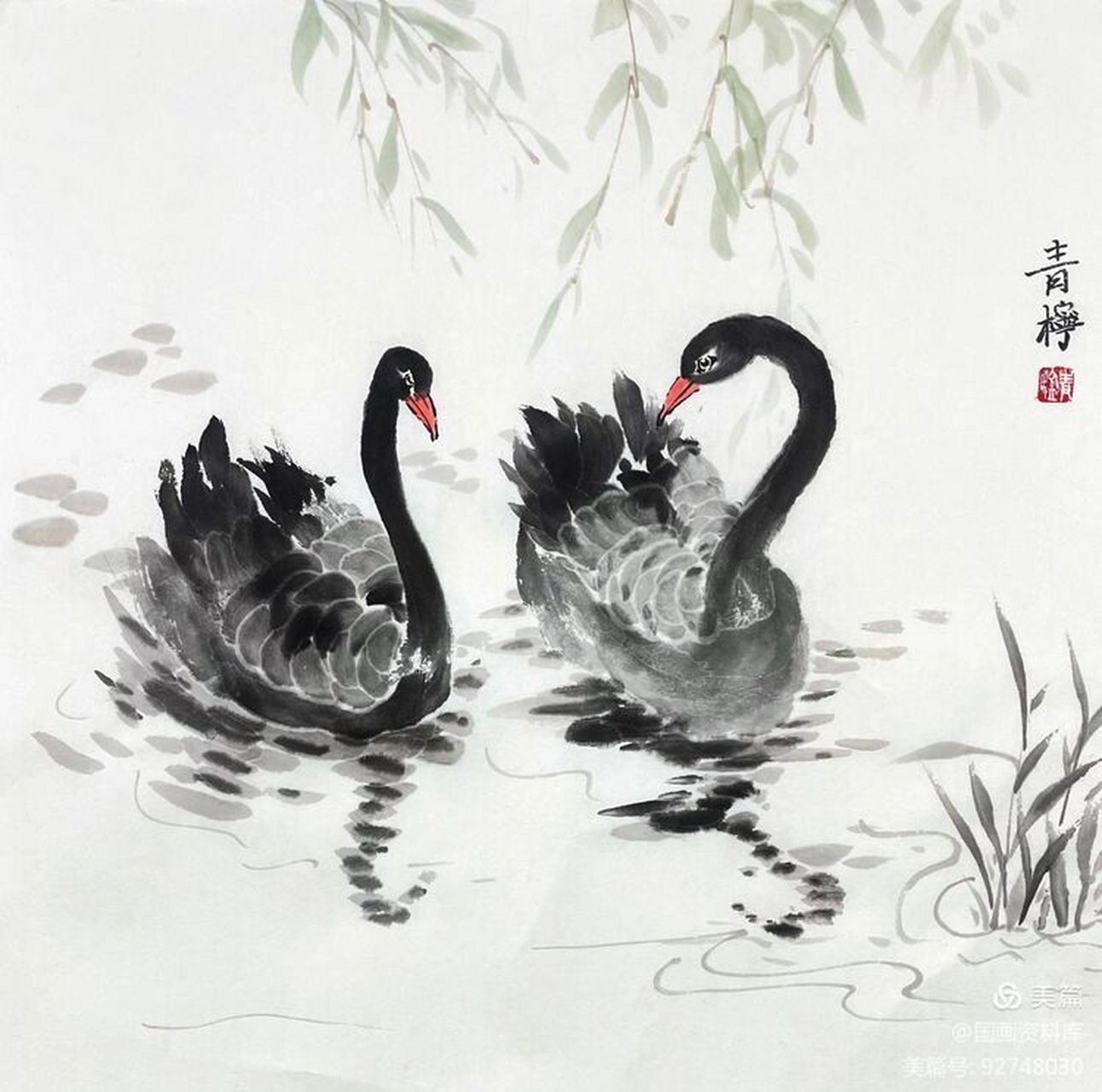 天鹅在刻画的时候眼睛用浓墨勾勒,注意在画头部的时候,眼睛的周围可以