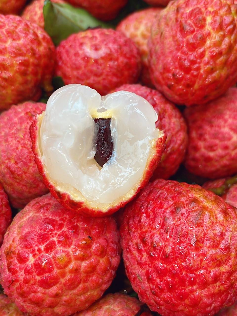 荔枝界明星品种91～糯米糍荔枝 【特级·糯米糍荔枝】实拍91现货