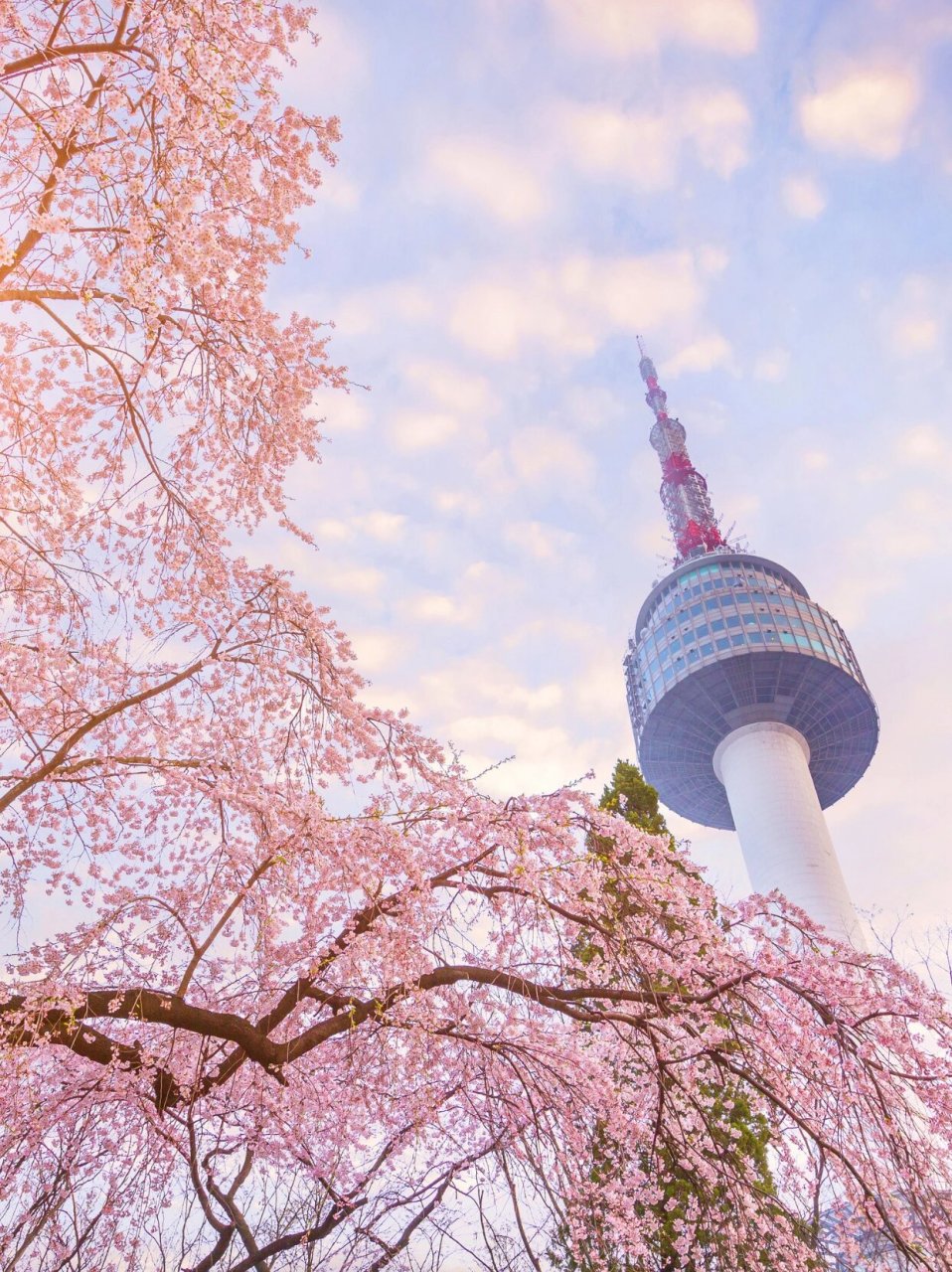 08 来韩国旅行,您一定会因为语言不通,旅游路线不清楚问题而感到